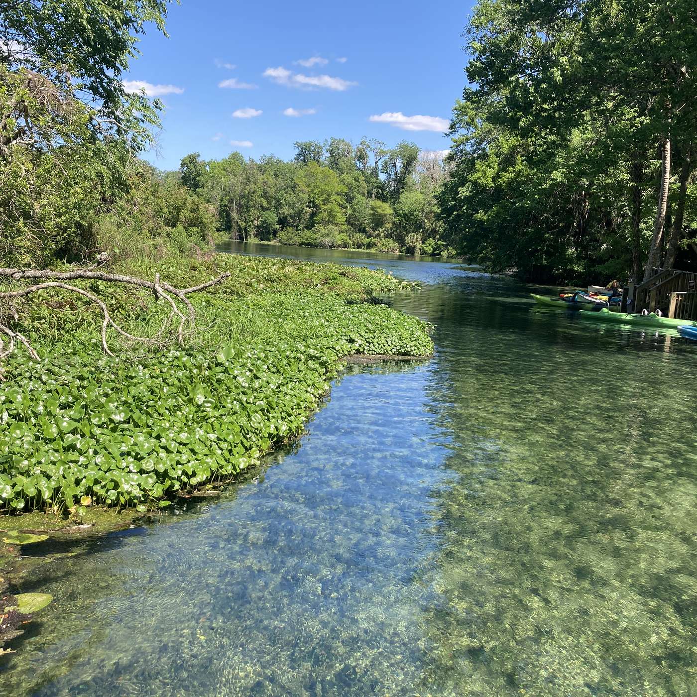 Florida Spectacular - Episode 179: How To Do Wekiwa Springs and Rock Springs Run