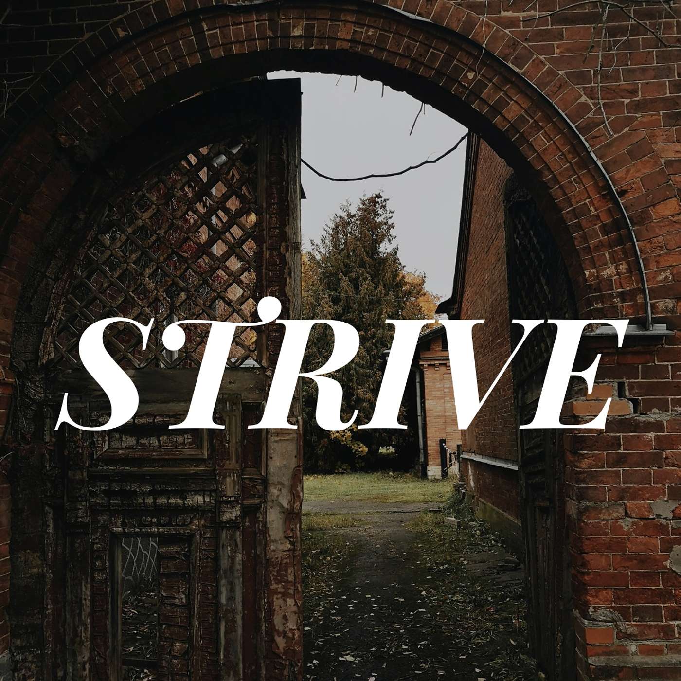 Strive