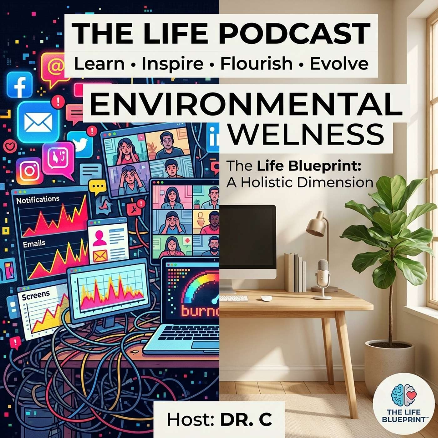 Environmental Wellness & Digital Saturation: Curating Spaces That Heal Burnout — LIFE Podcast with Dr. C