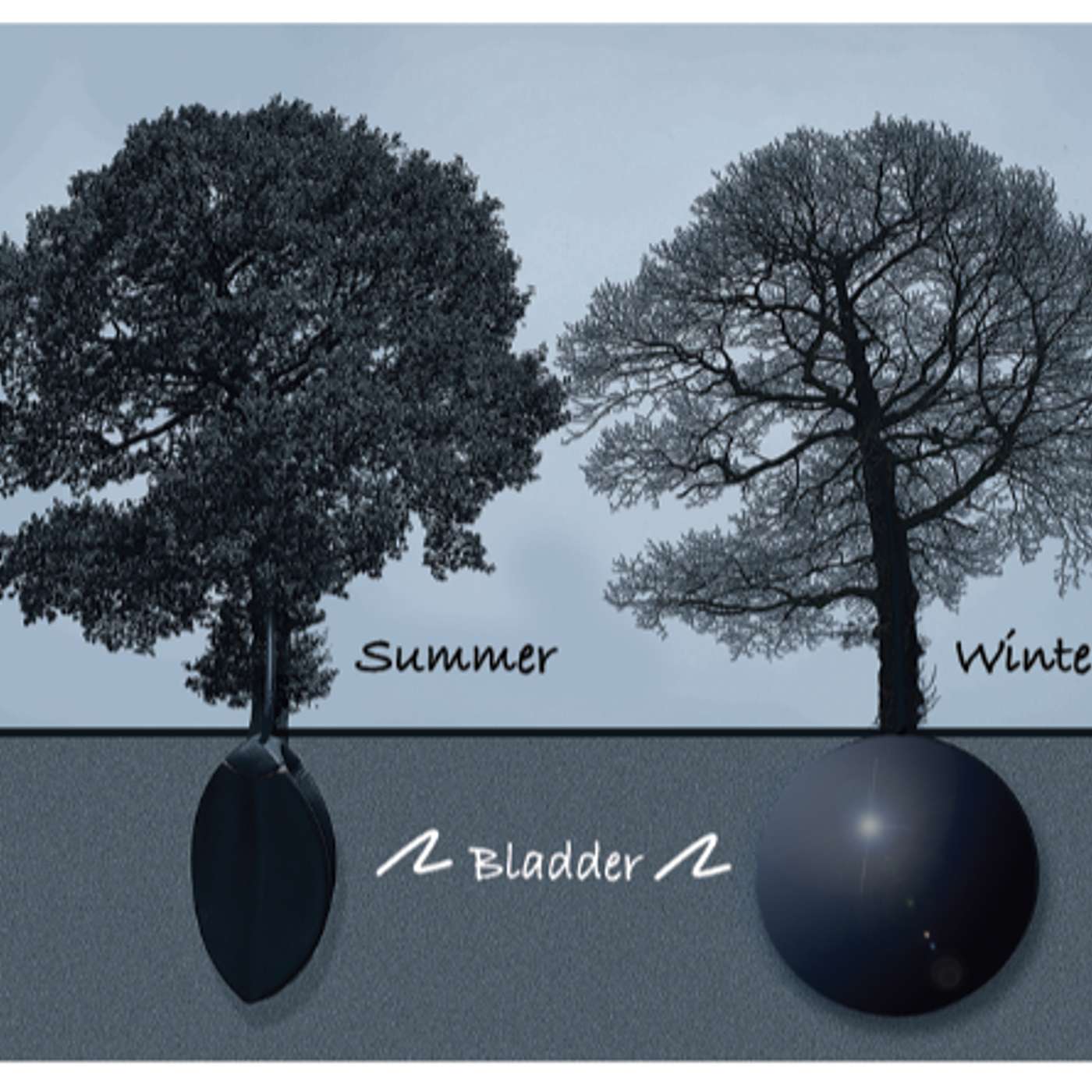 It’s a Wonderful Life – 2060