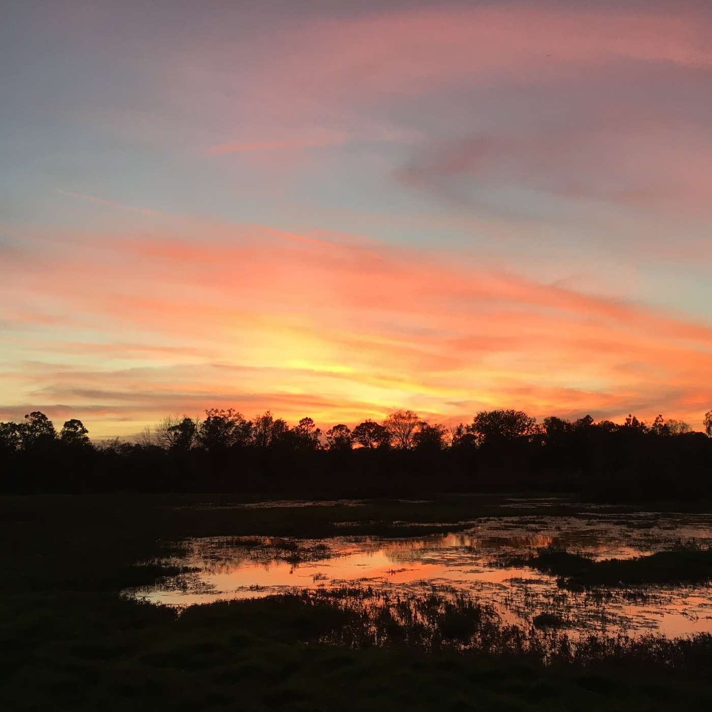 The Closing of 2018