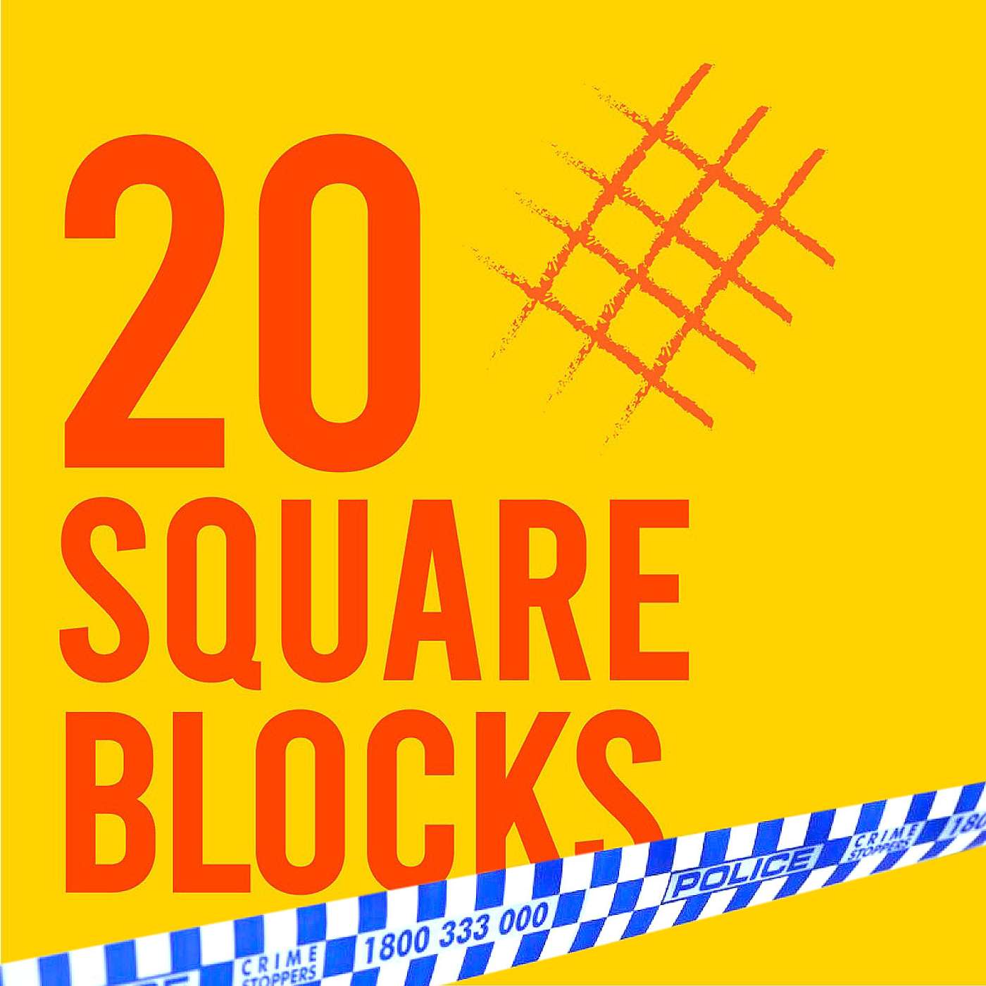 20 Square Blocks