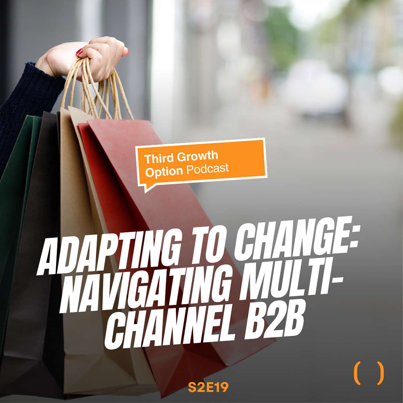 Adapting to Change: Navigating Multi-Channel B2B, with Lisa DiCostanzo