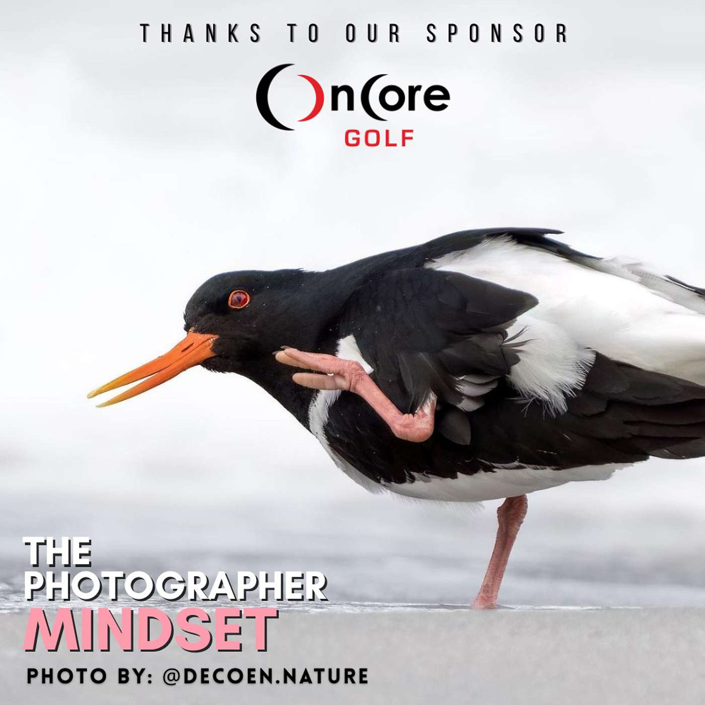 The Photographer Mindset