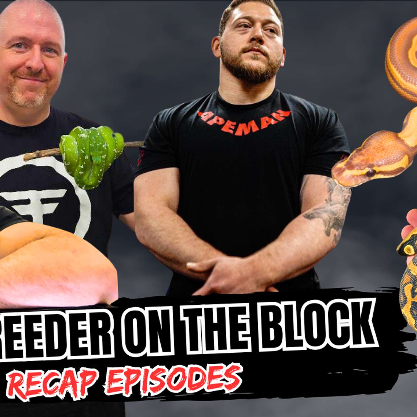 The Repercussions With Maintenance And Over Feeding Ball Pythons | NBB Recap Episode (Live