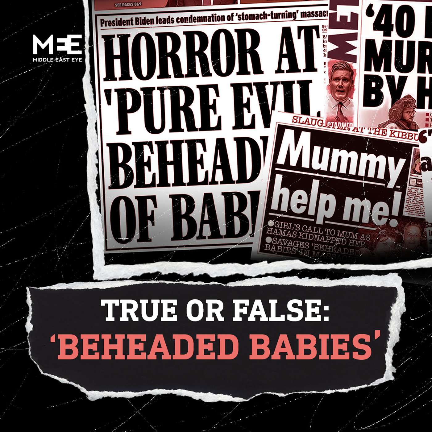 [BONUS] ‘40 beheaded babies’ : How media amplified an unconfirmed story | The Big Picture Explained episode artwork