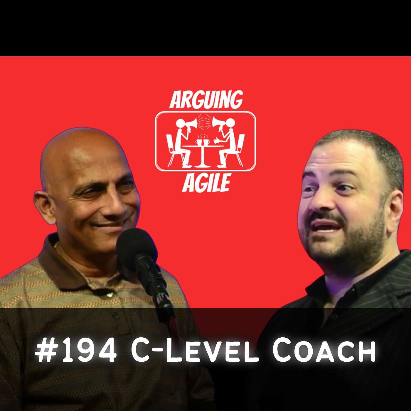 AA194 - What is an Enterprise Business Agility Coach?