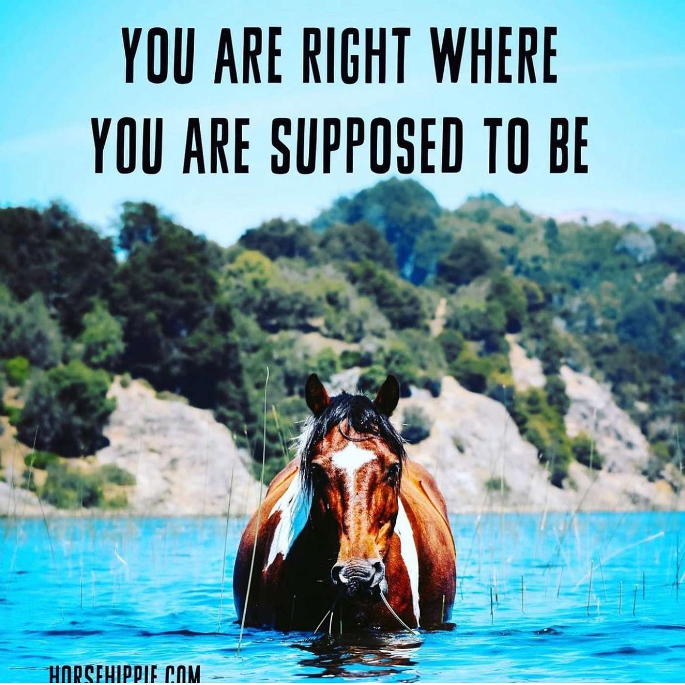 Love Your Life Right Now