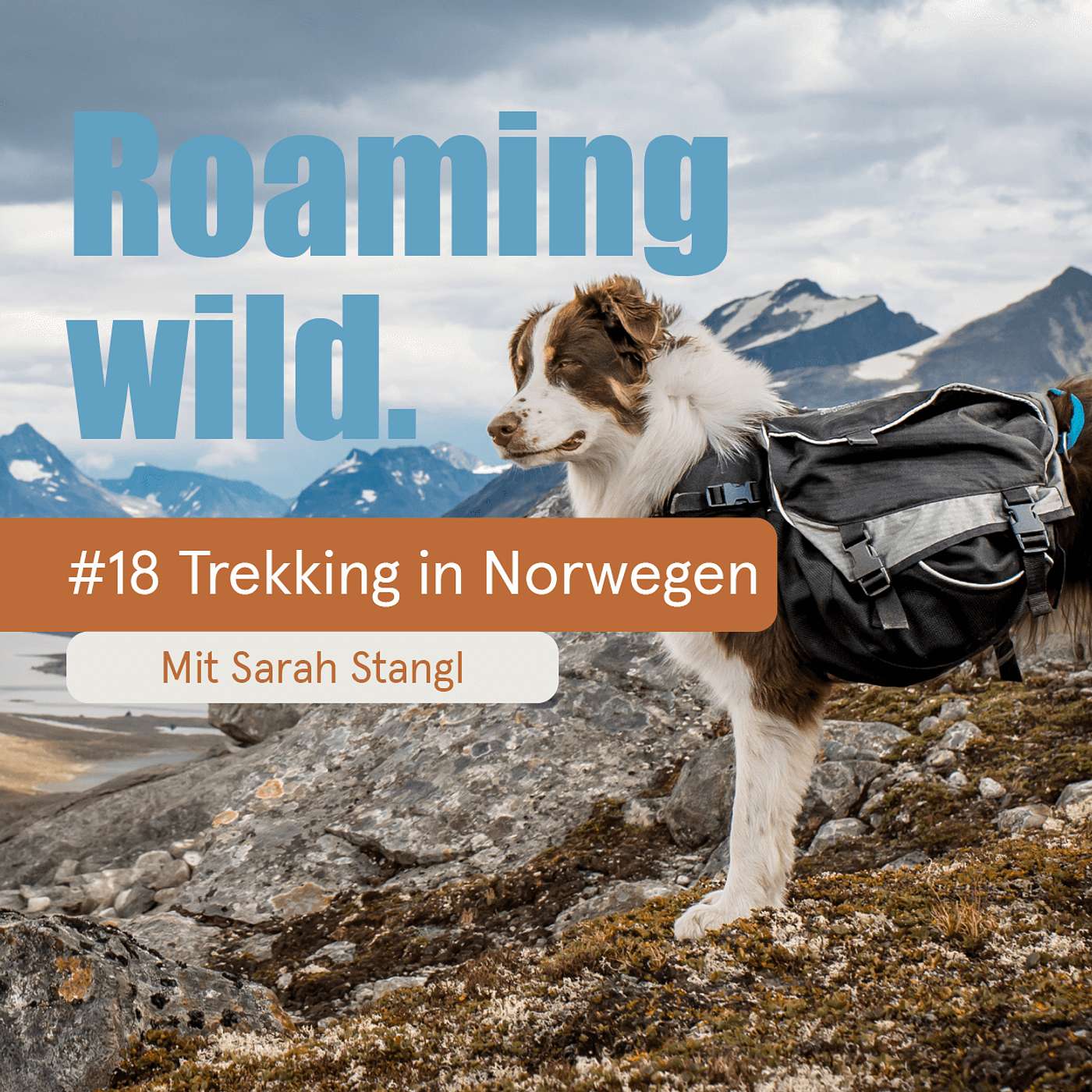 Roaming Wild - Outdoorerlebnisse und Fotografie mit Hund