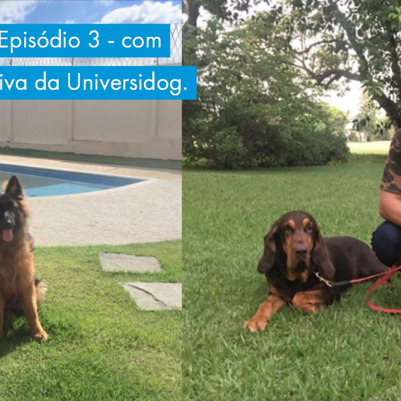 Vida de Cão: Episódio 3 - com Alexandre Neiva da Universidog.