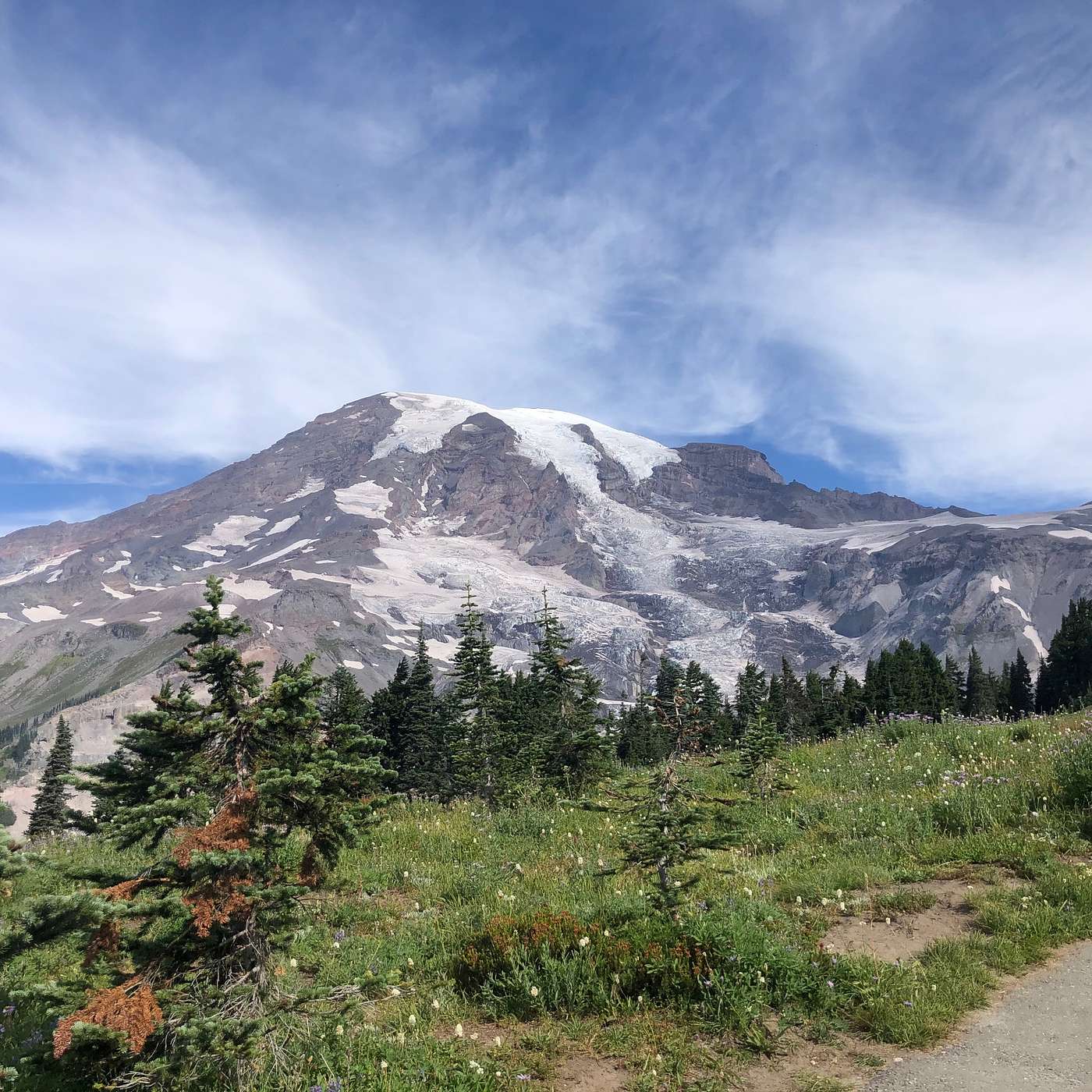 Missing Hiker at Mount Rainier National Park