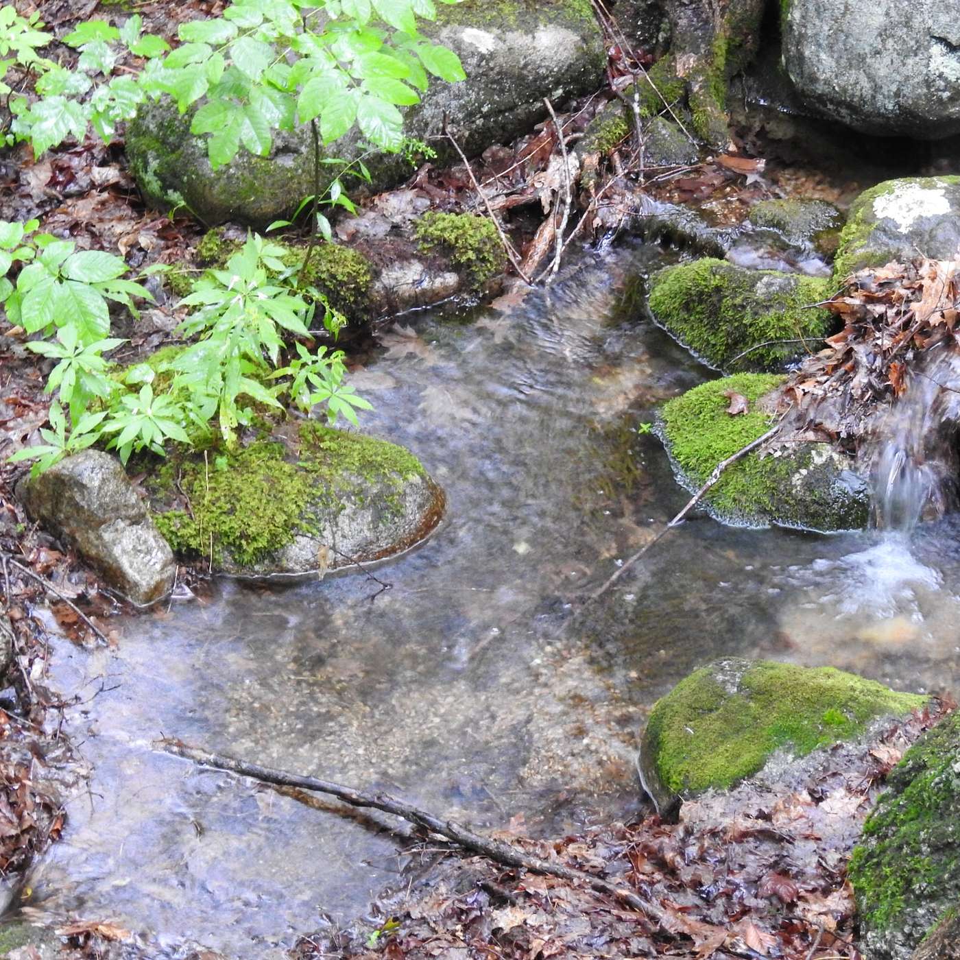NATURE PROVIDES NOURISHMENT FOR THE LAND