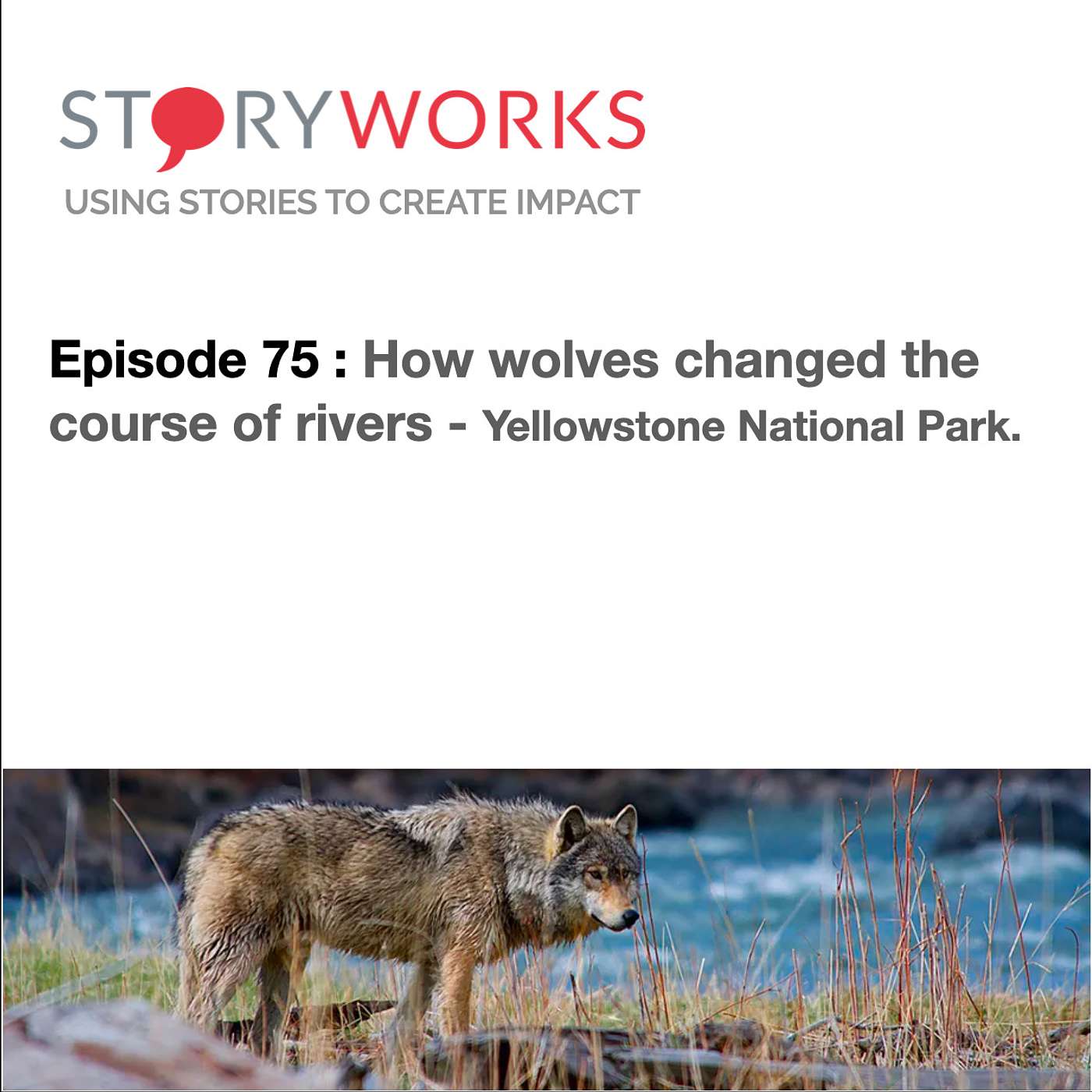 The StoryBank