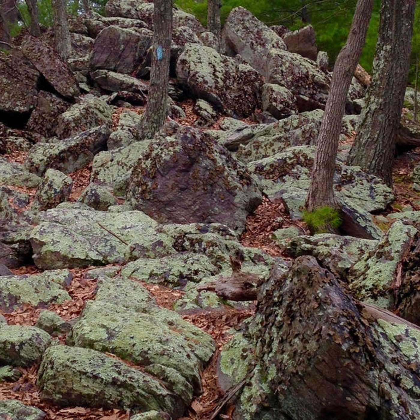 2022 Michaux DS recap with LCARS ADV