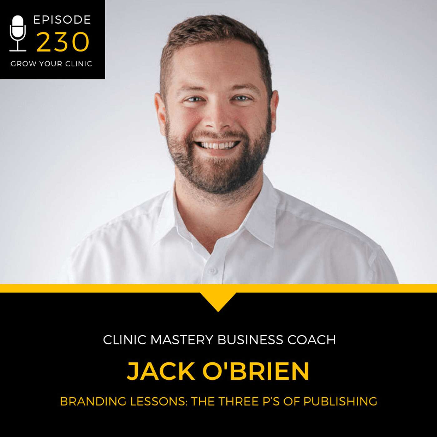 230 - Branding Lessons: The Three P’s of Publishing episode artwork