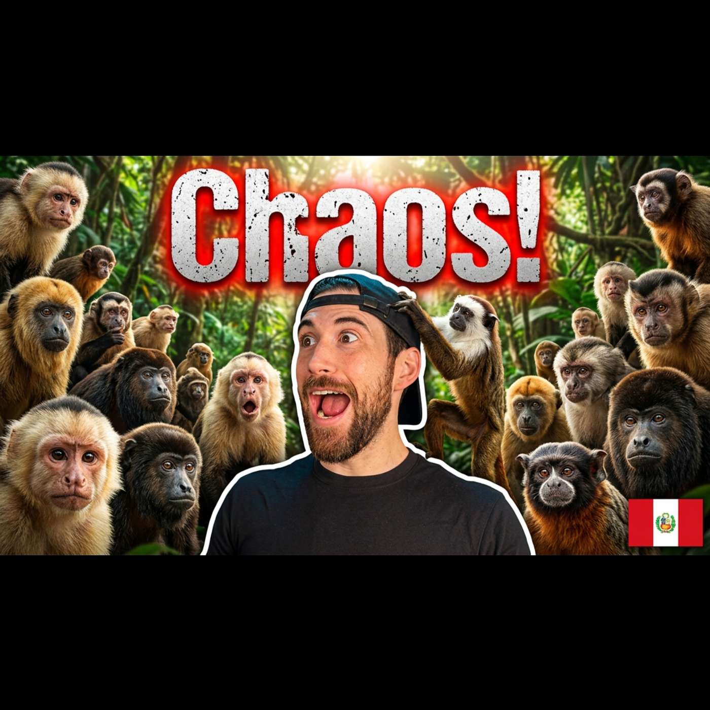 I Was Surrounded by 50 Monkeys in the Amazon Jungle episode artwork
