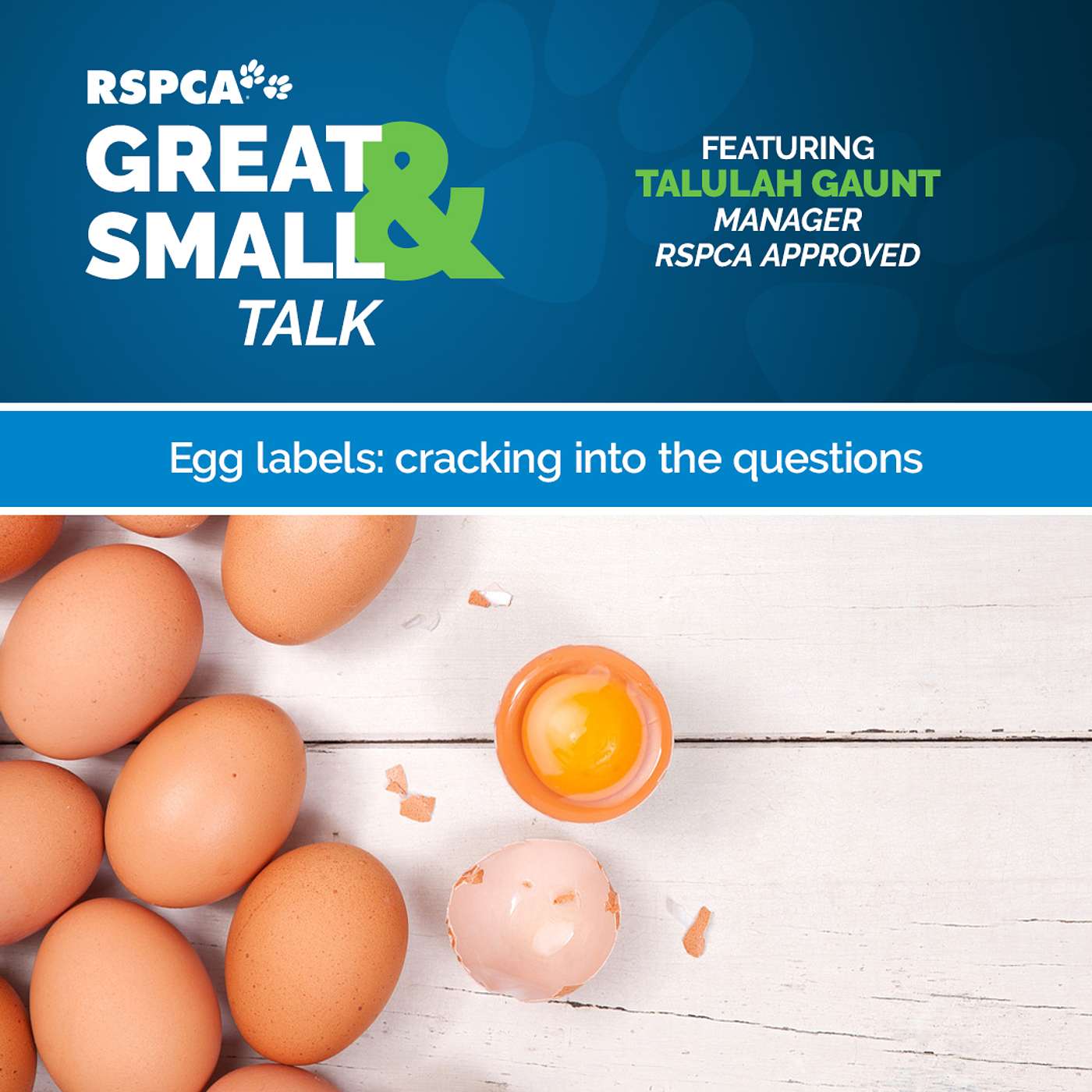 RSPCA Australia\'s Great & Small Talk