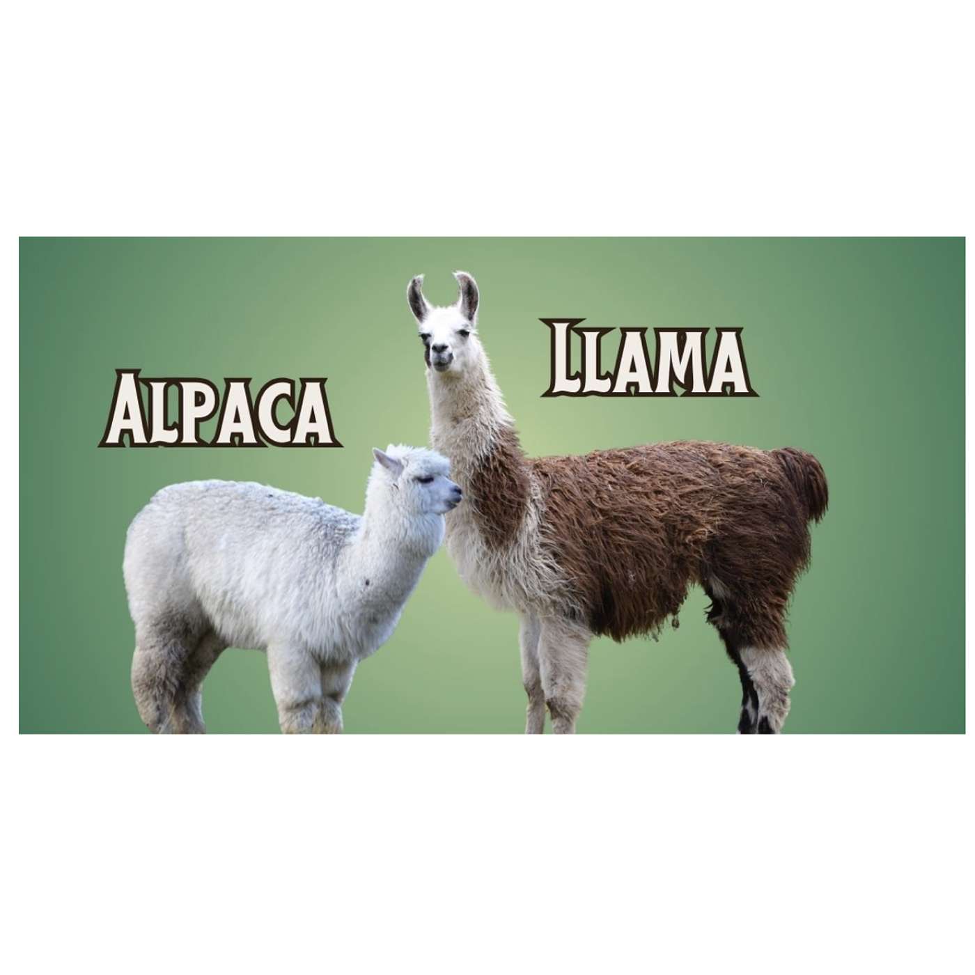 Thursday, February 6, 2025 - This crossword's really making a STATEment 😀