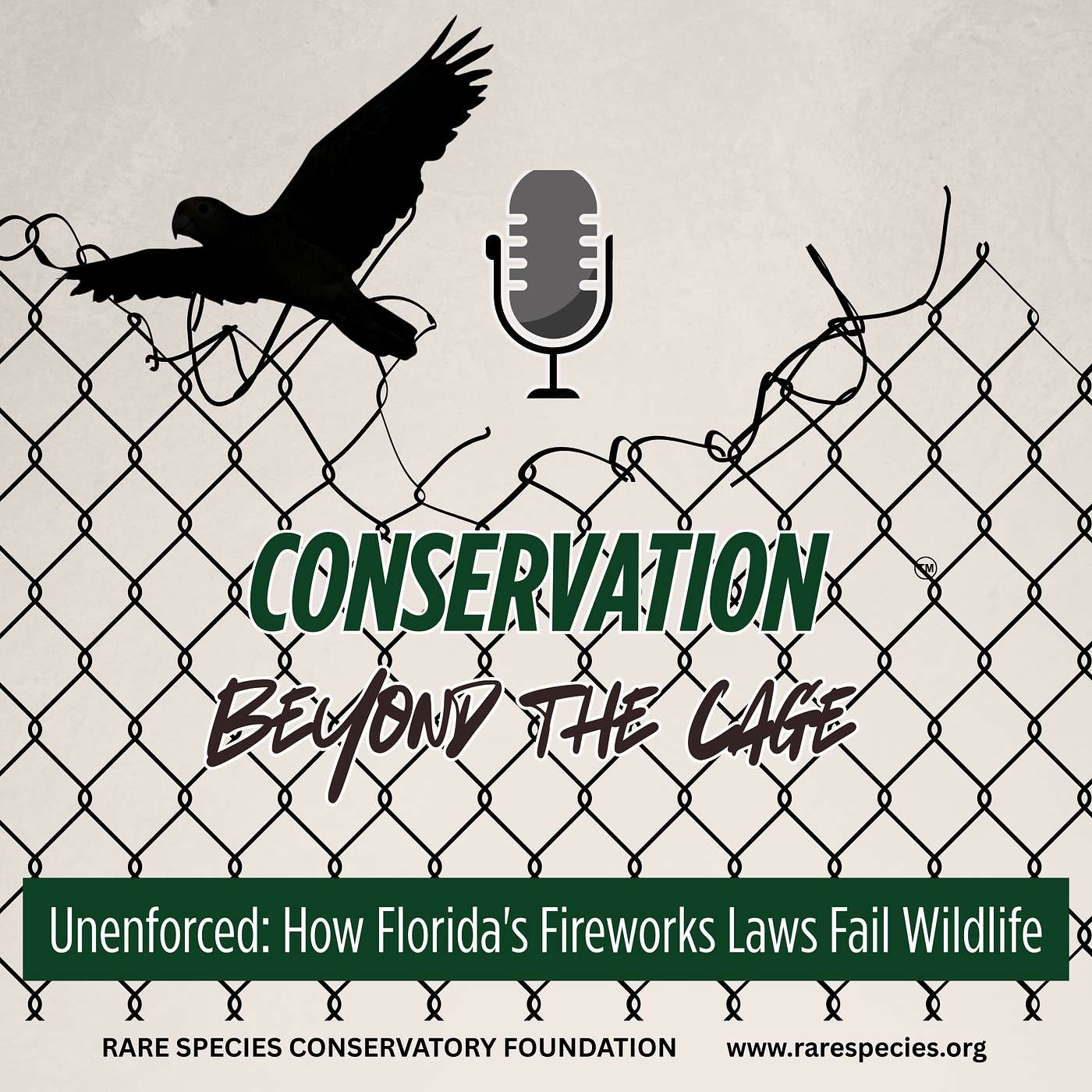 Unenforced: How Florida's Fireworks Laws Fail Wildlife episode artwork