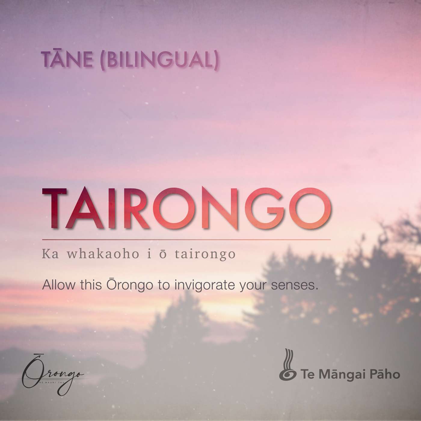 TAIRONGO - Tāne (Bilingual)