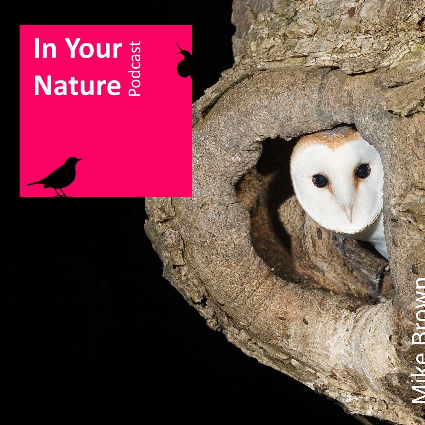 In Your Nature