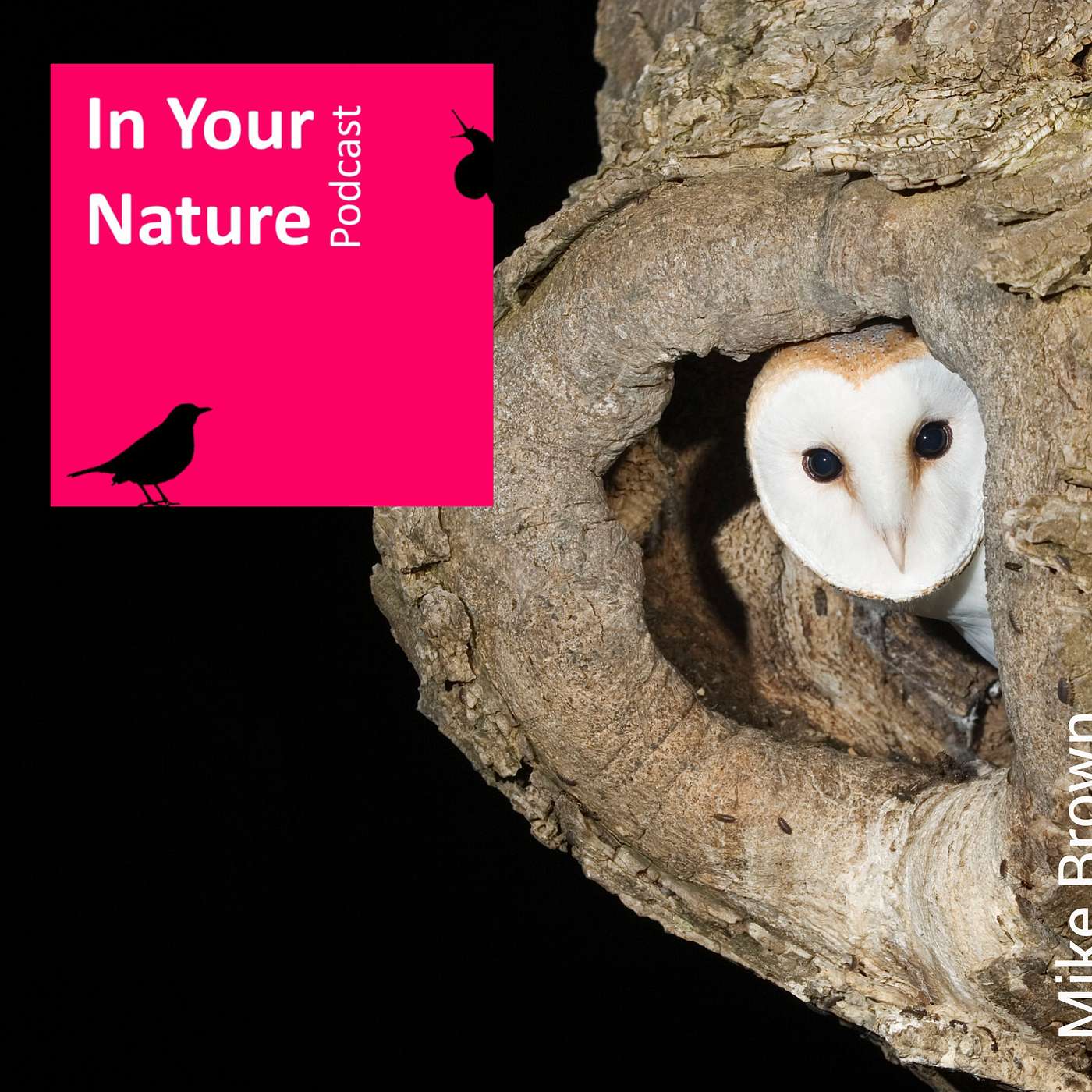 In Your Nature Ep 22 - Barn Owl Conservation