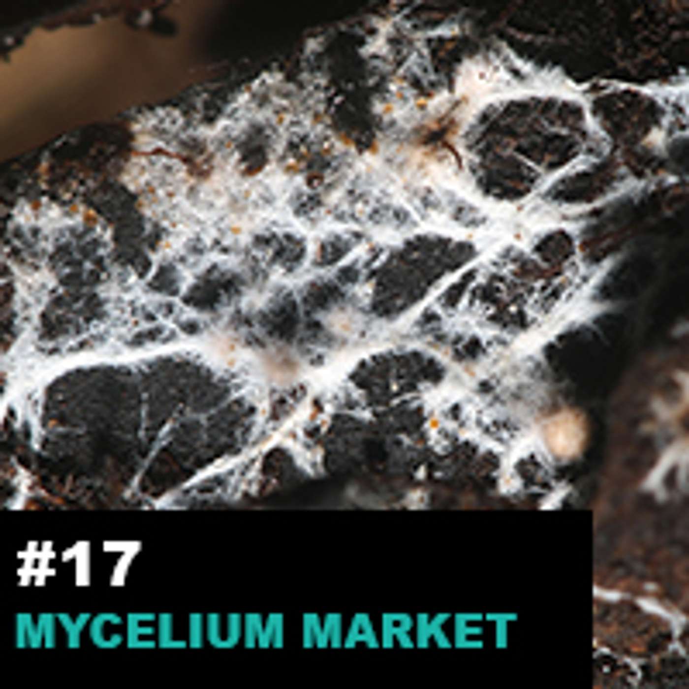 Season 1 Ep17: Mycelium Market: Key Drivers, Developments, and Technologies episode artwork