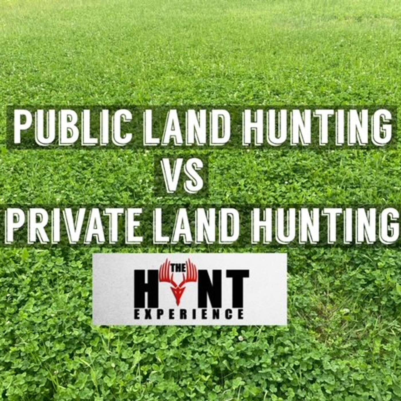 The Hunt Experience