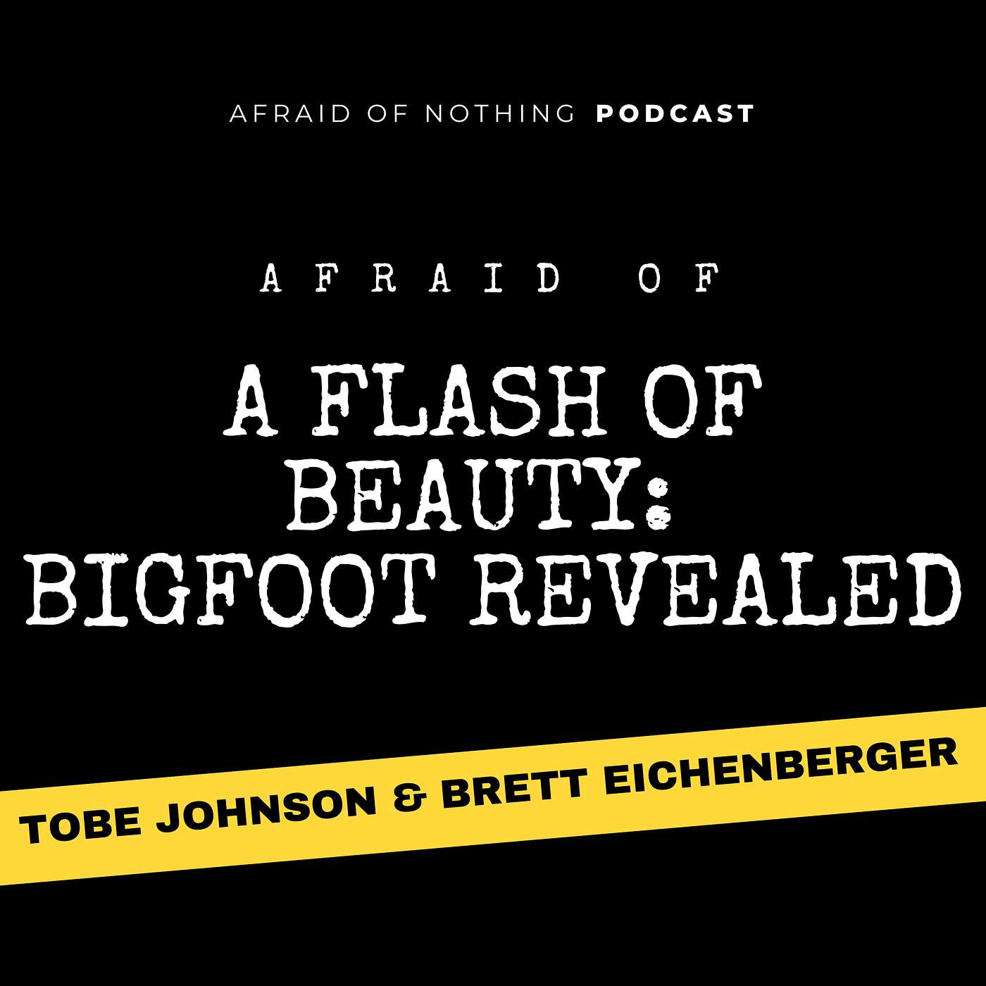 Afraid of Nothing Podcast