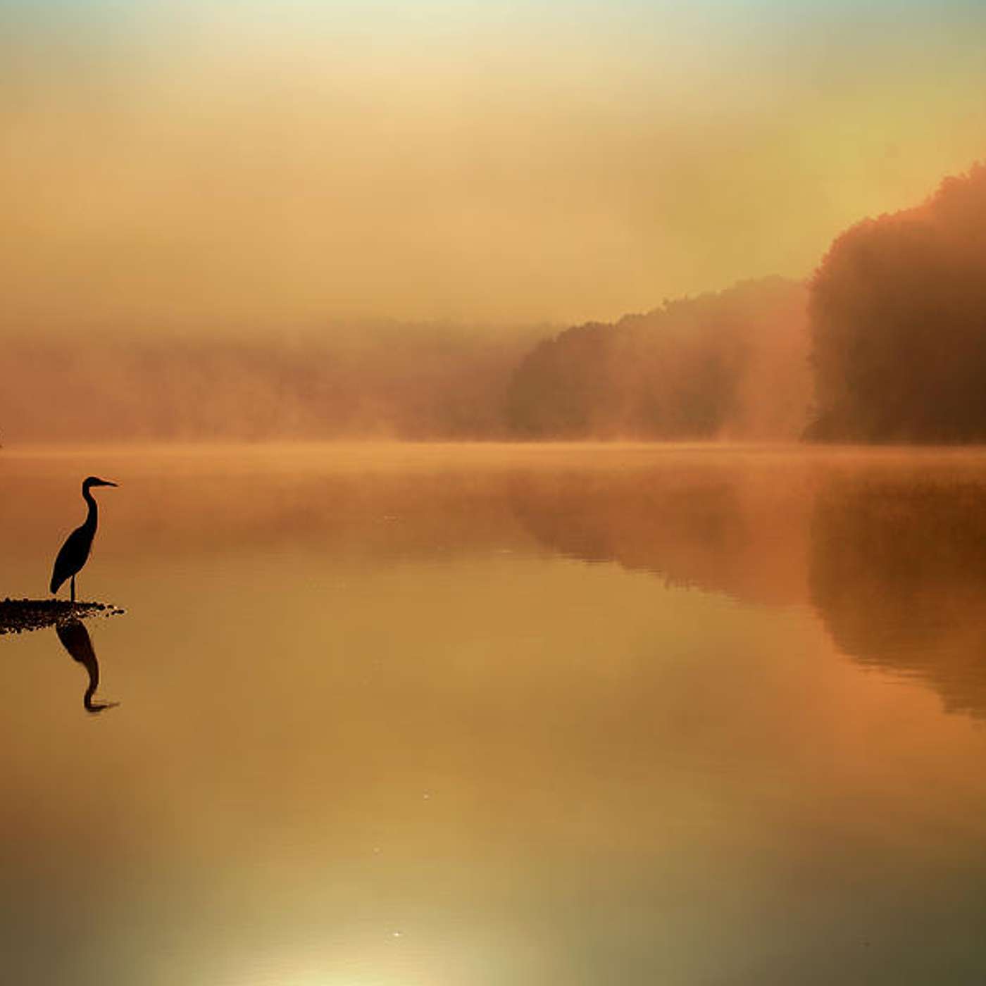 Mindful Moments