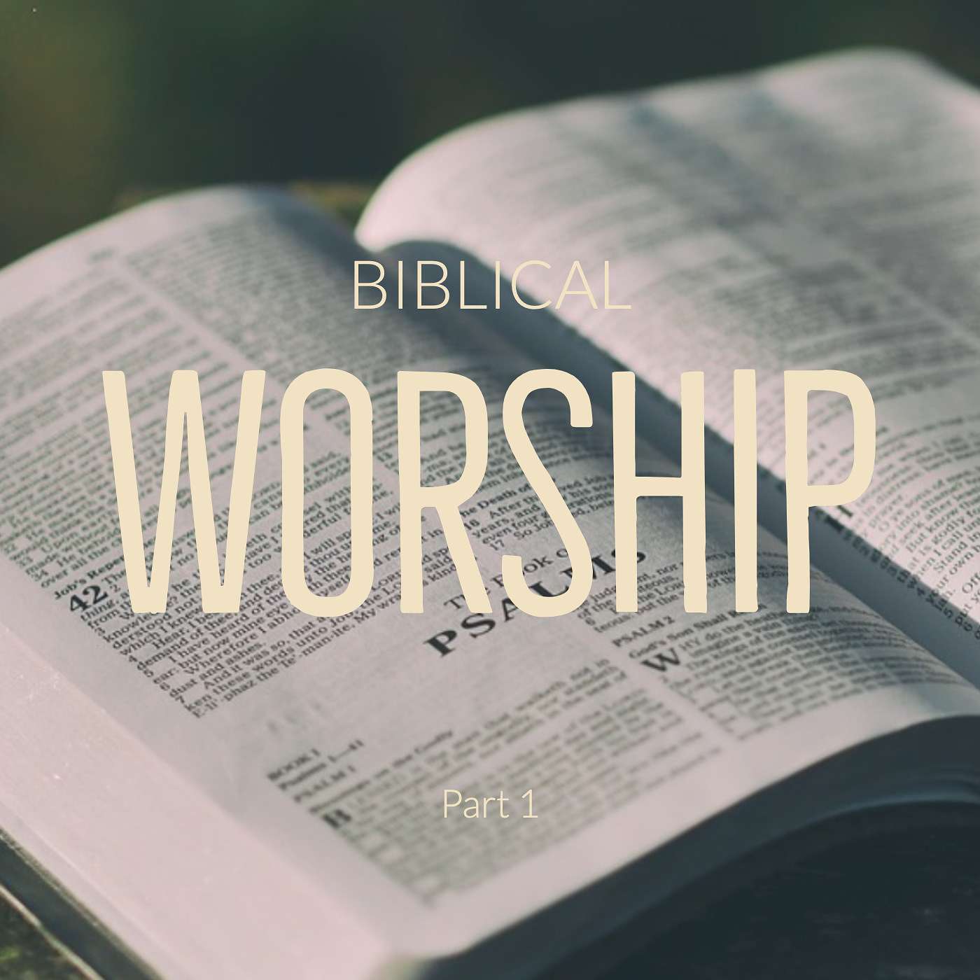 Biblical Worship Part 1