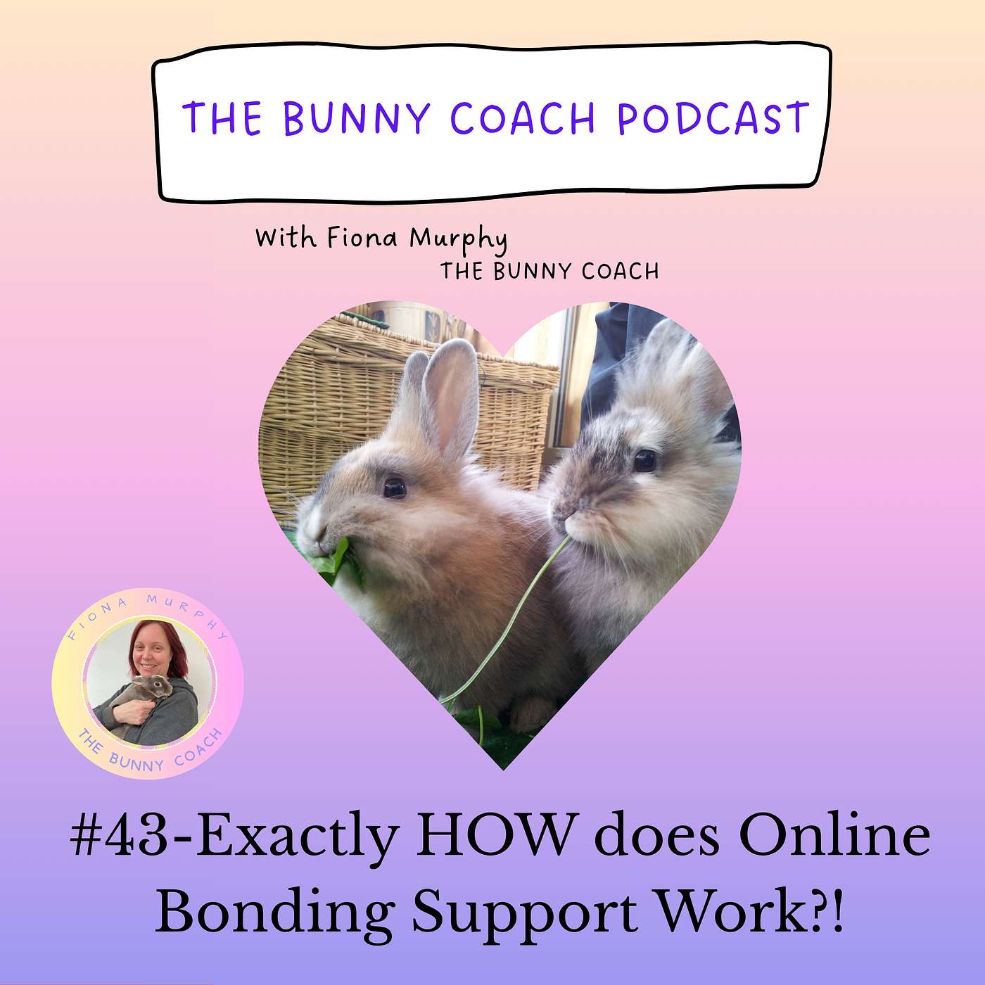 #43 - Exactly HOW does Online Rabbit Bonding Support Work?! episode artwork