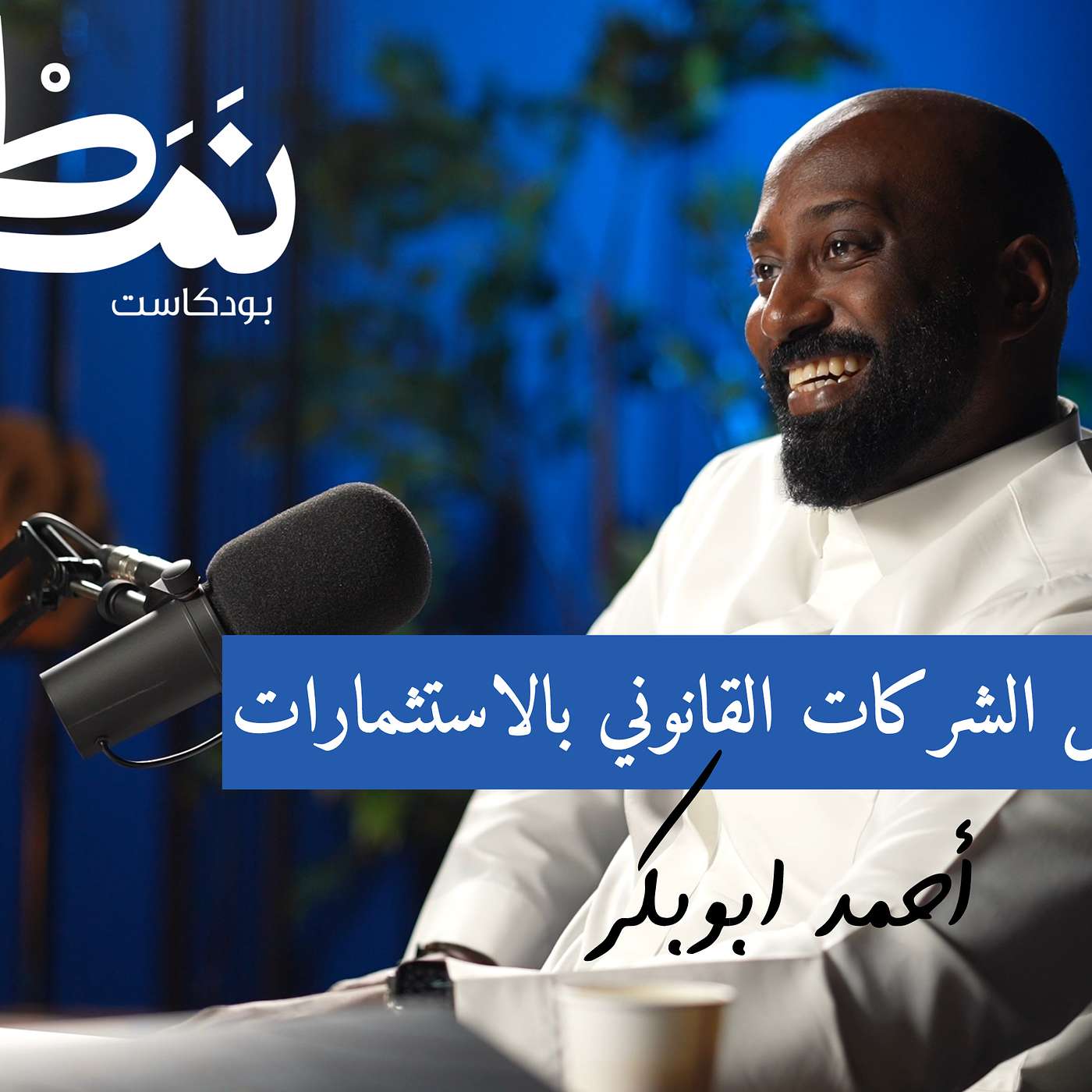 علاقة الشركات والاستثمارات في النظام | مع احمد ابوبكر في بودكاست نمط مع عبدالعزيز العبيد