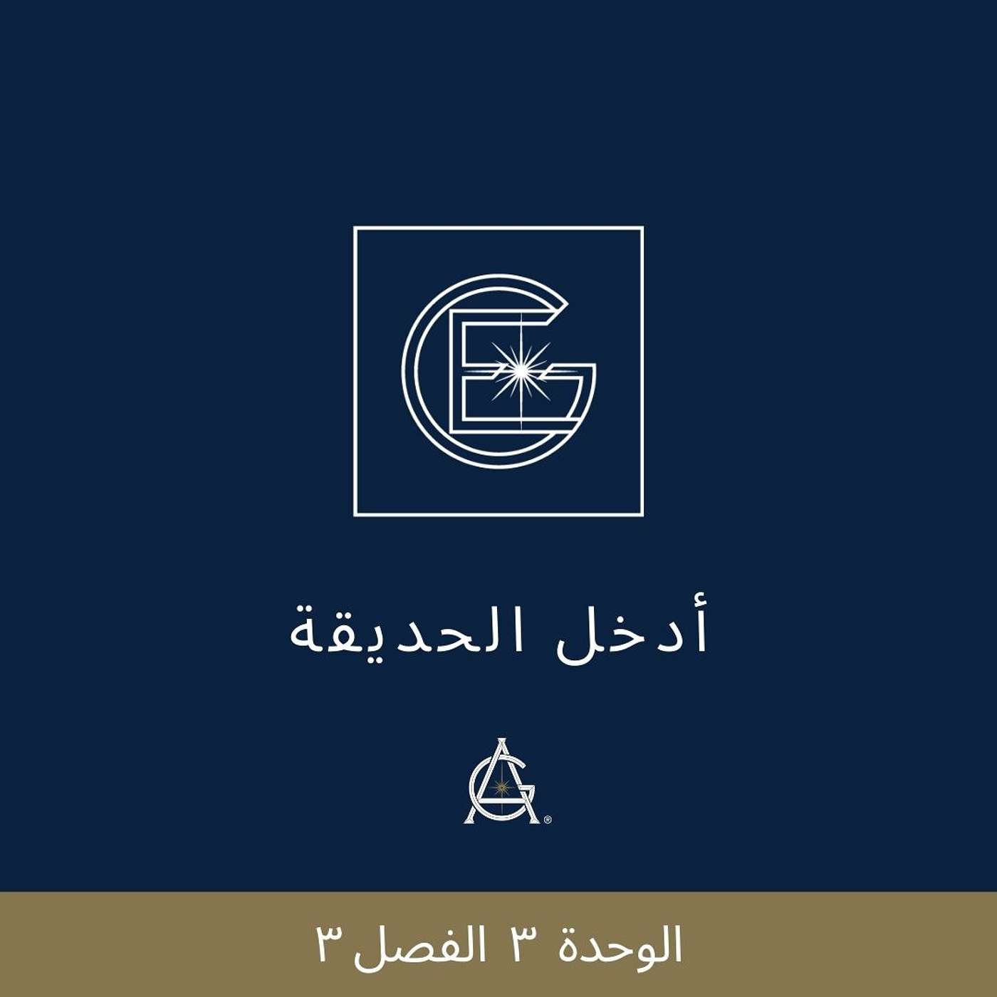 الوحدة  ٣  الفصل ٣ : تجديد أفكاري