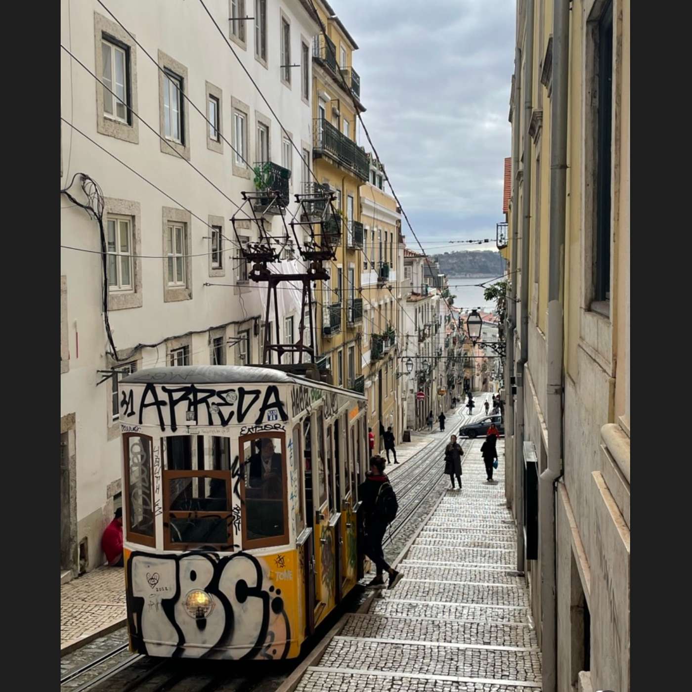 Language Learning with Sean!