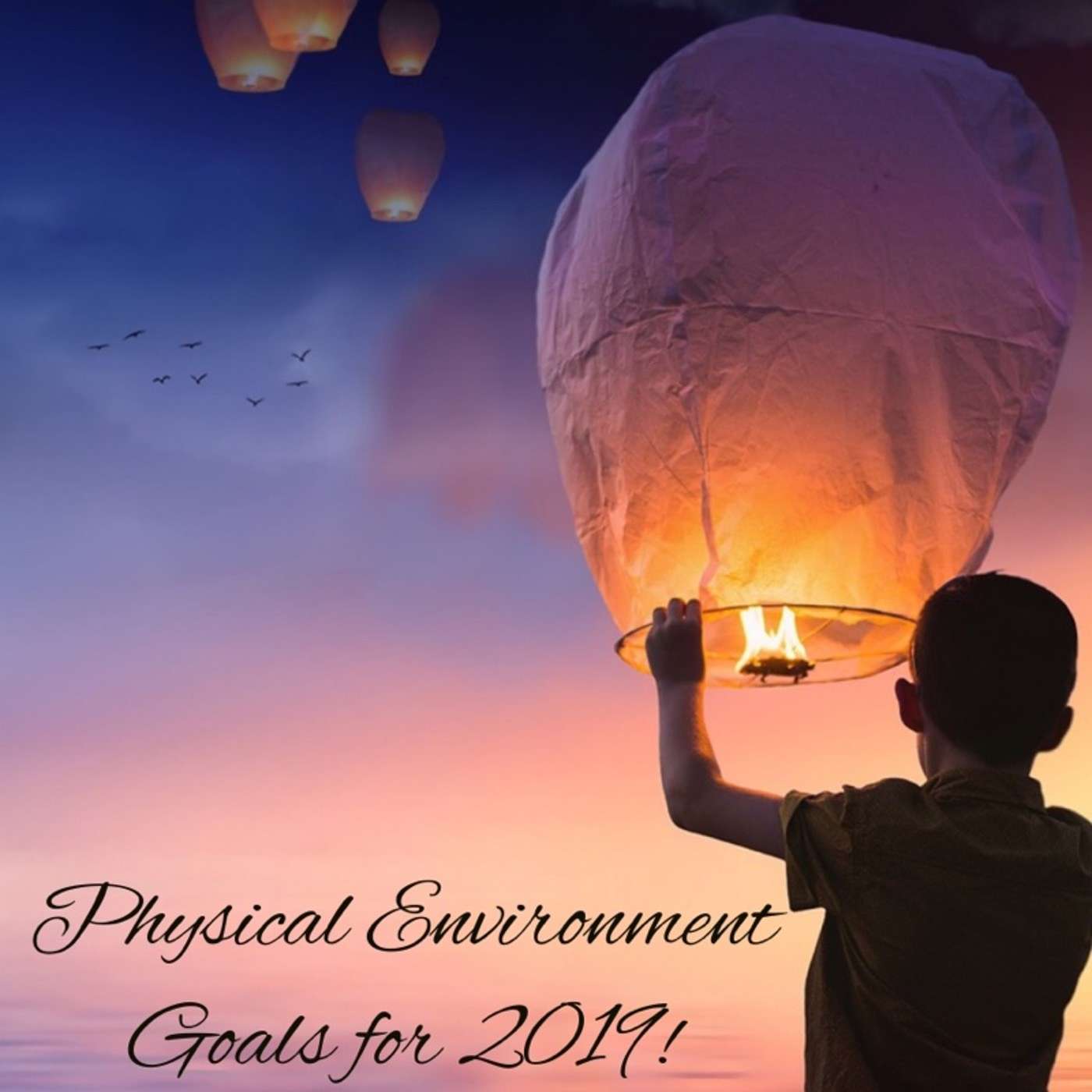 Physical Environment: Goals for 2019!