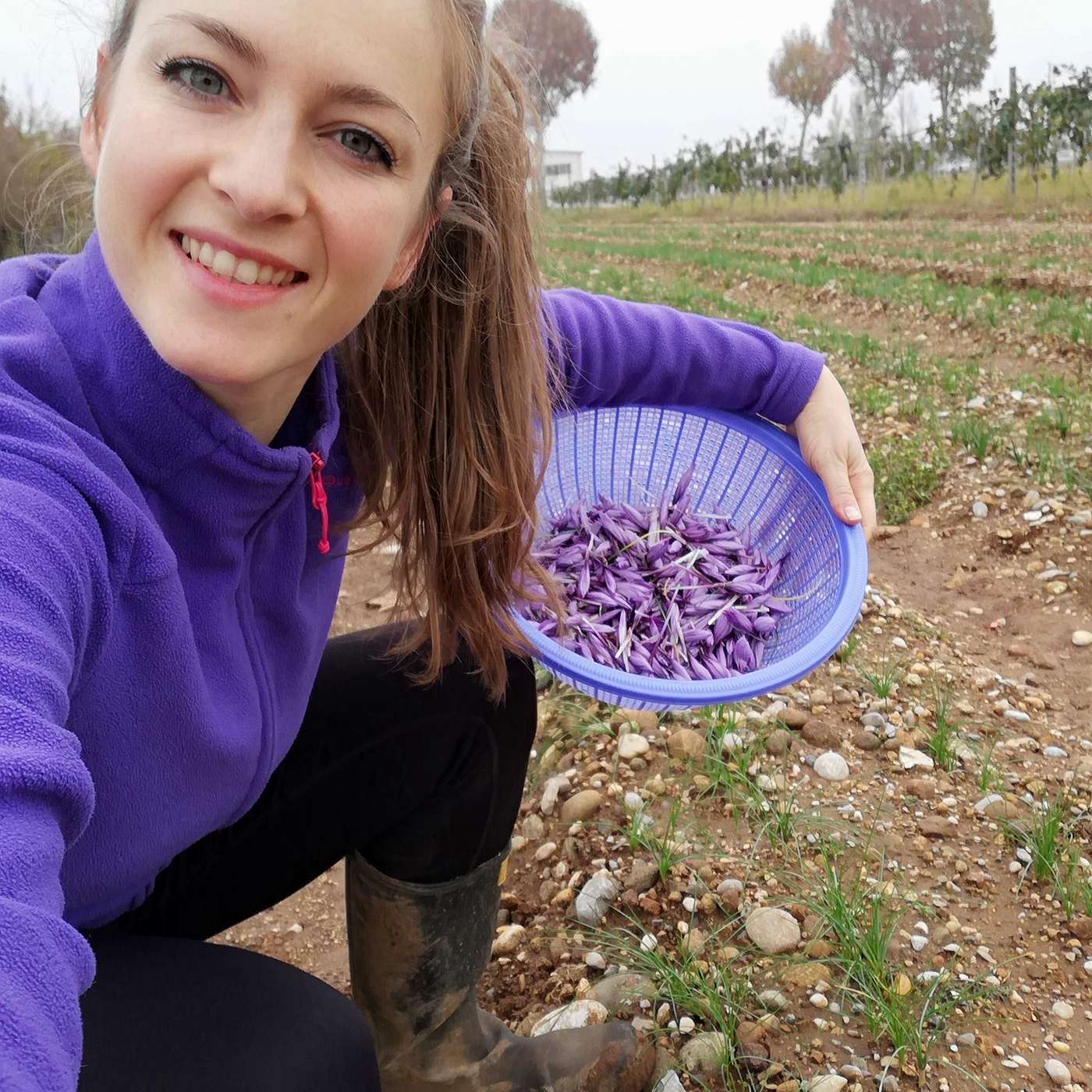 Edagricole