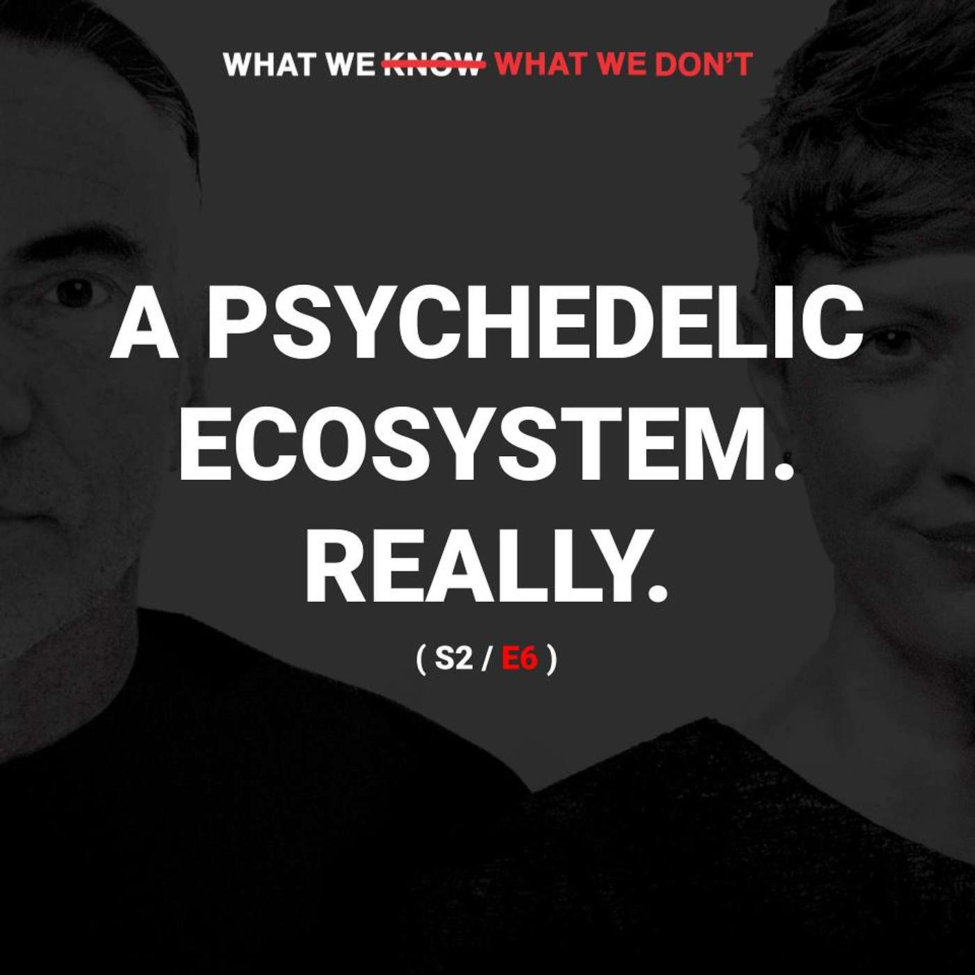 What We Know, What We Don\'t