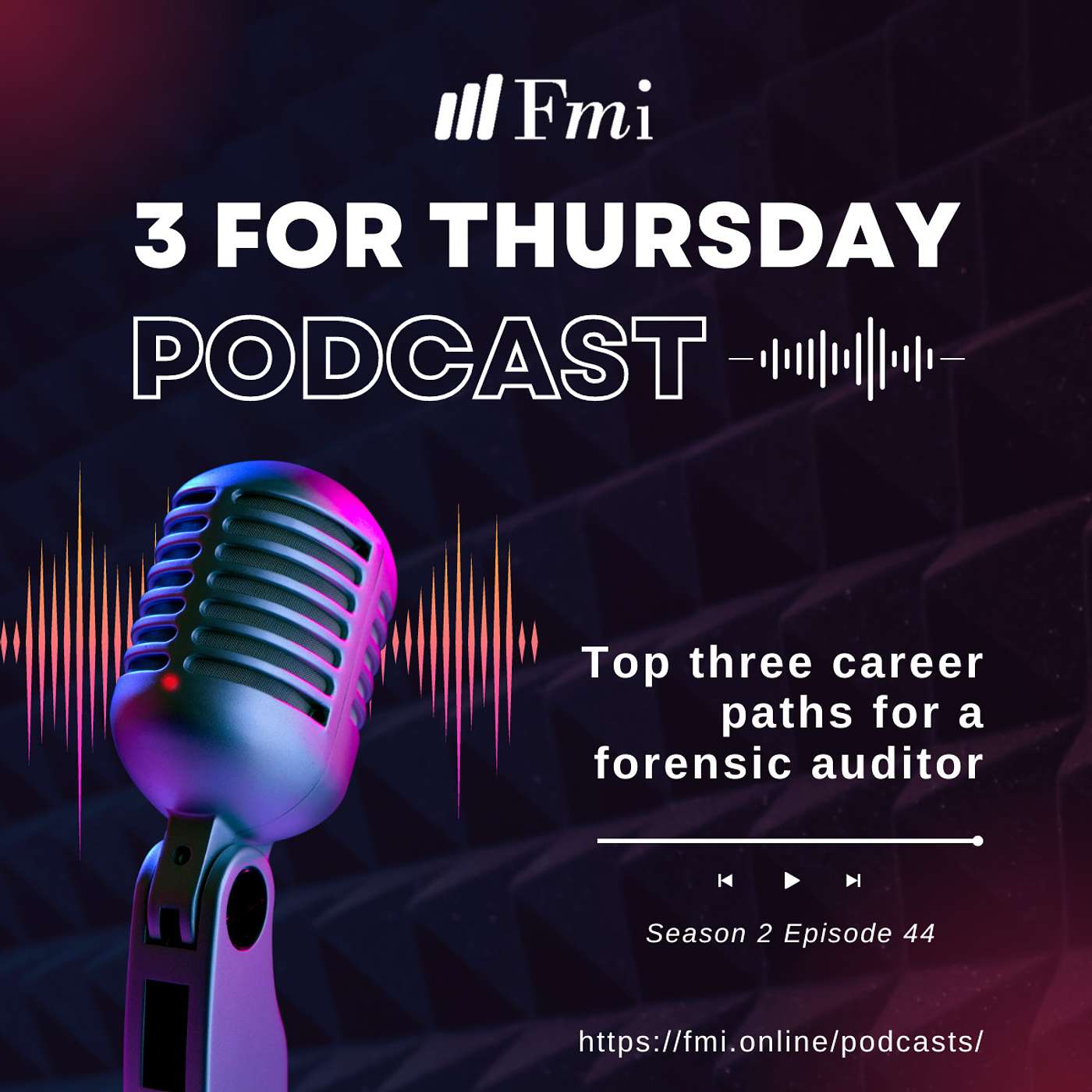 Top 3 career paths for a forensic auditor