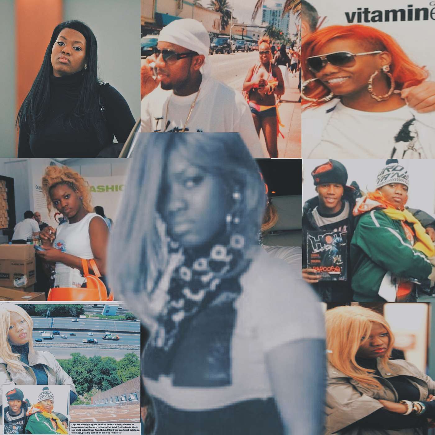 Vixen: Black Beauty and Pop Culture