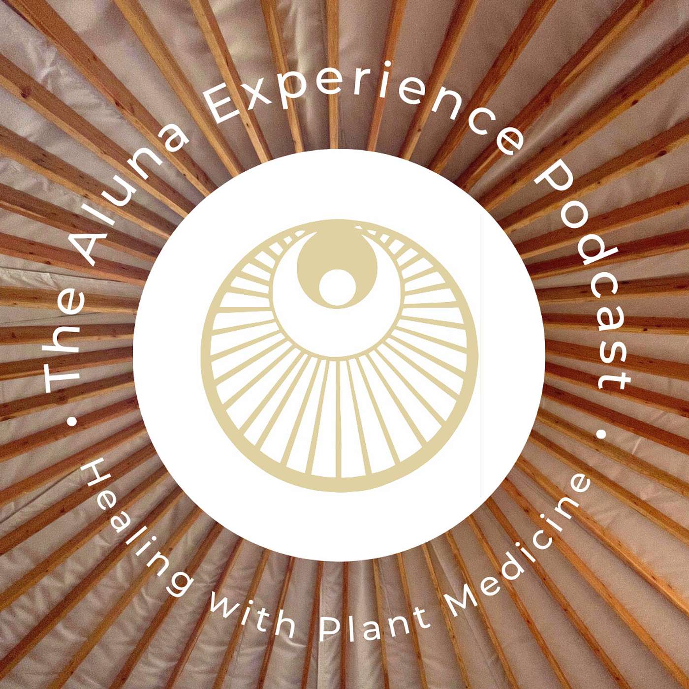 The Aluna Experience Podcast: Jenn, a recent Entheoguide graduate shares her experience with Aluna, rediscovering her healing ability and joining the Aluna community.