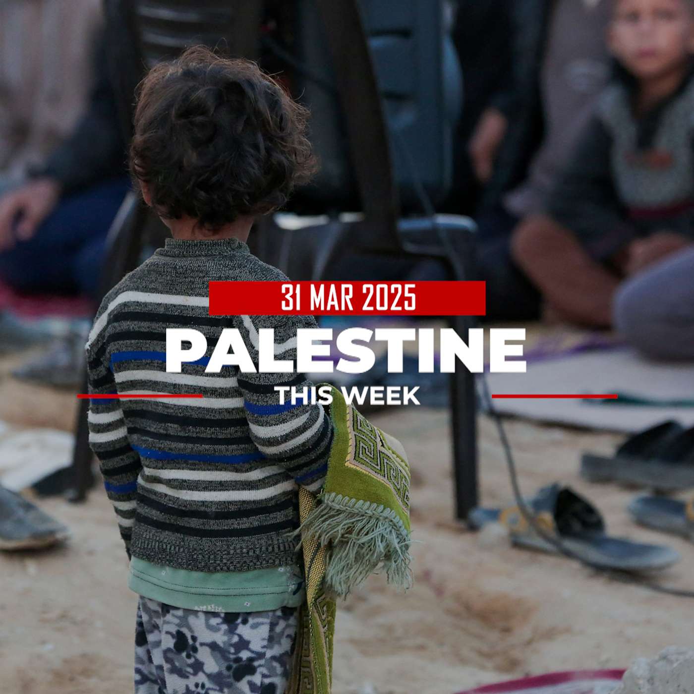 Palestine This Week