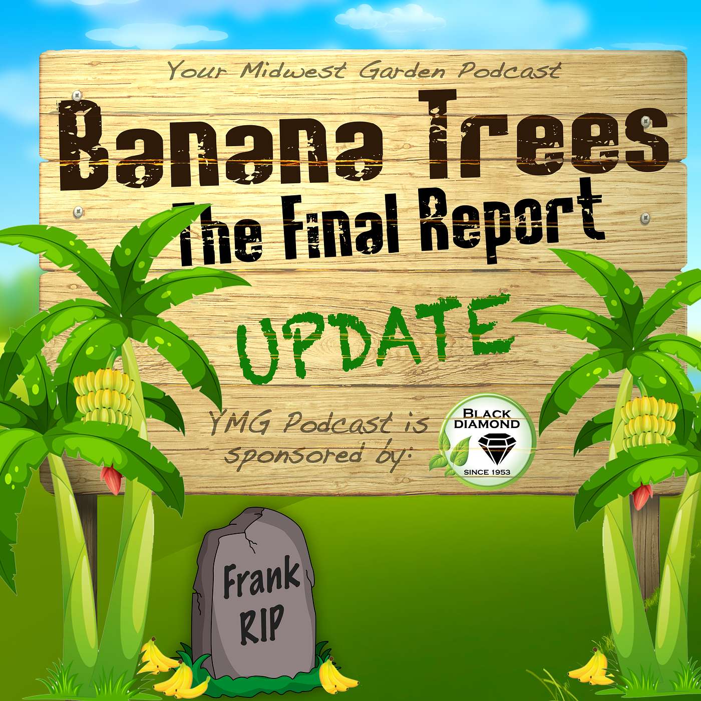 The Banana Trees - 365 Day Update