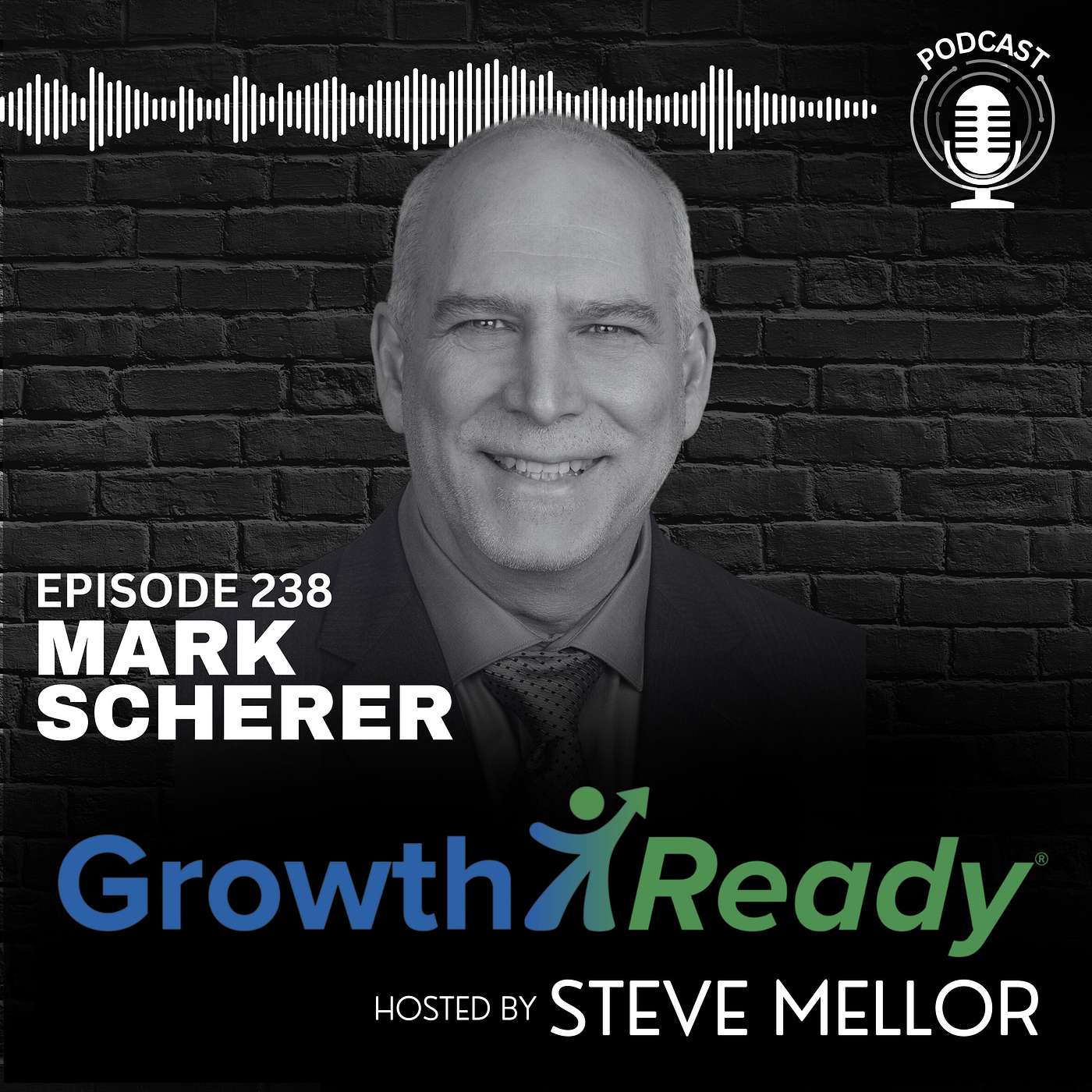 Episode 238 - Foundations of Growth and Fulfillment with Mark Scherer