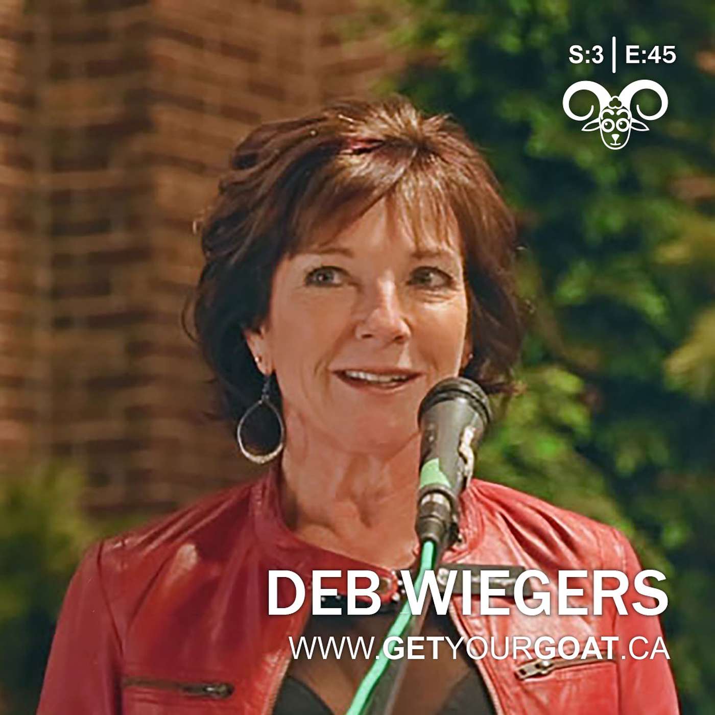 Season 3/Episode 45: Turning Positivity and Grit into Entrepreneurial Success: Deb Wiegers' Journey