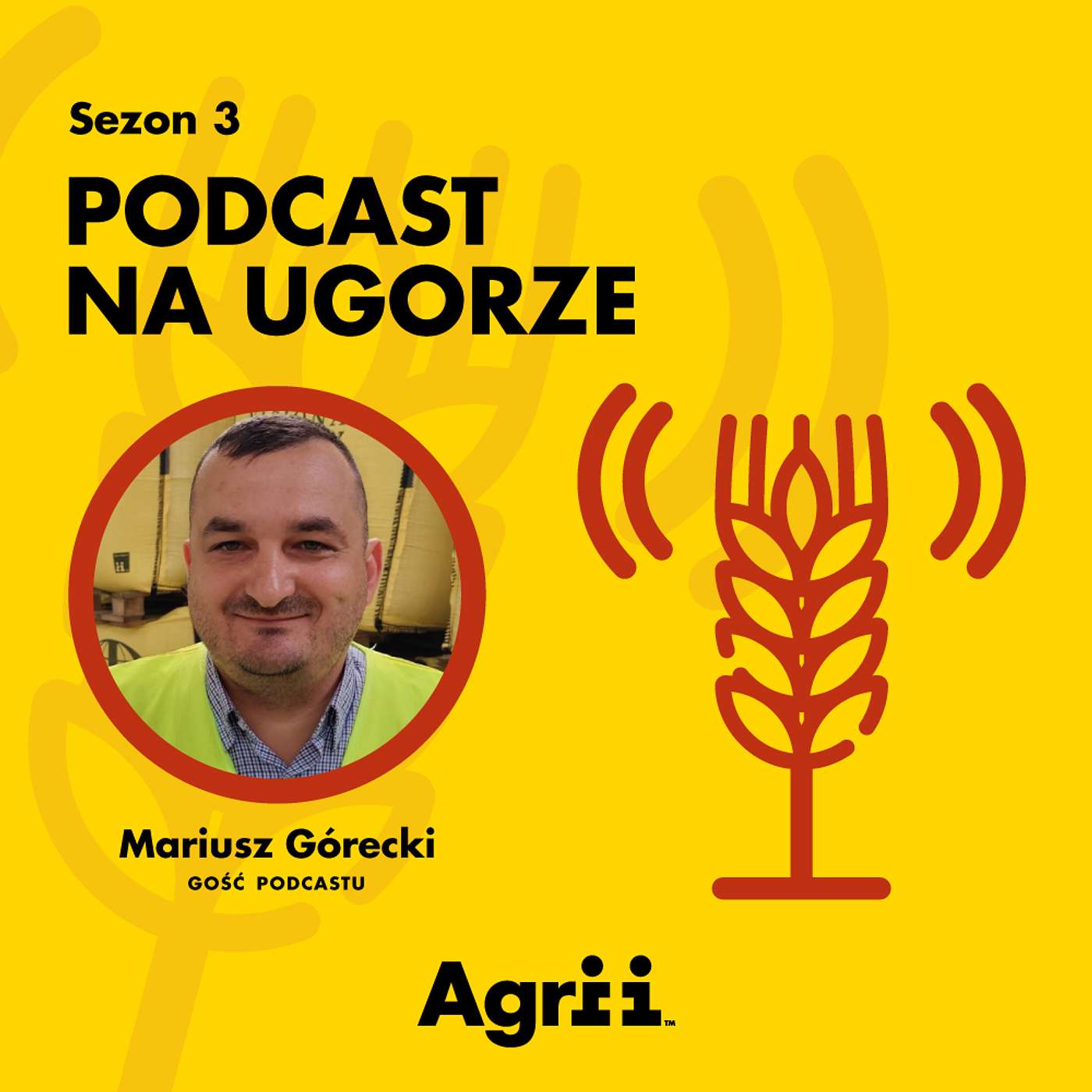 Jak powstaje materiał siewny Nasiona Dalgety | Mariusz Górecki