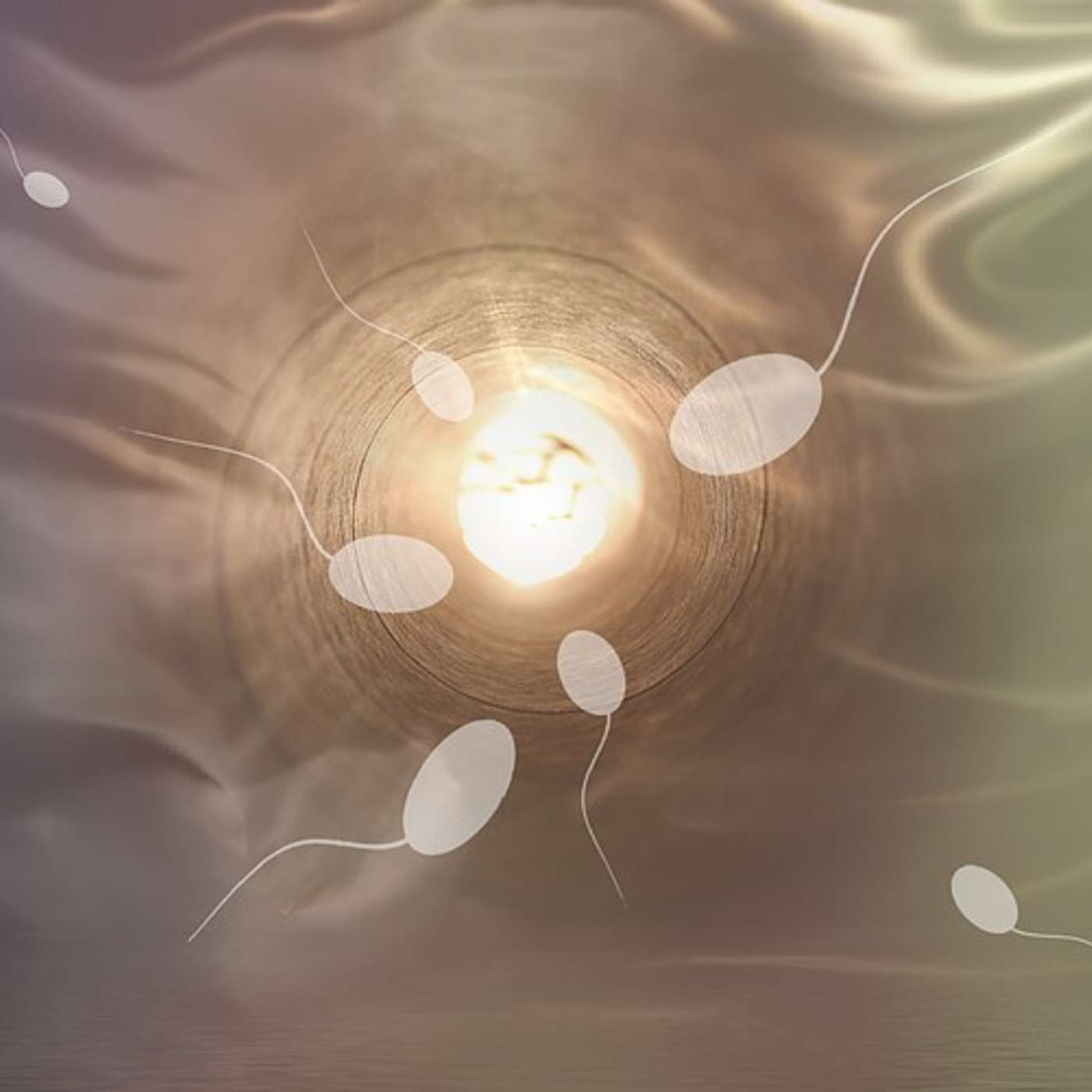 The Importance of Egg & Sperm Quality in Getting Pregnant & What You Can Do About It