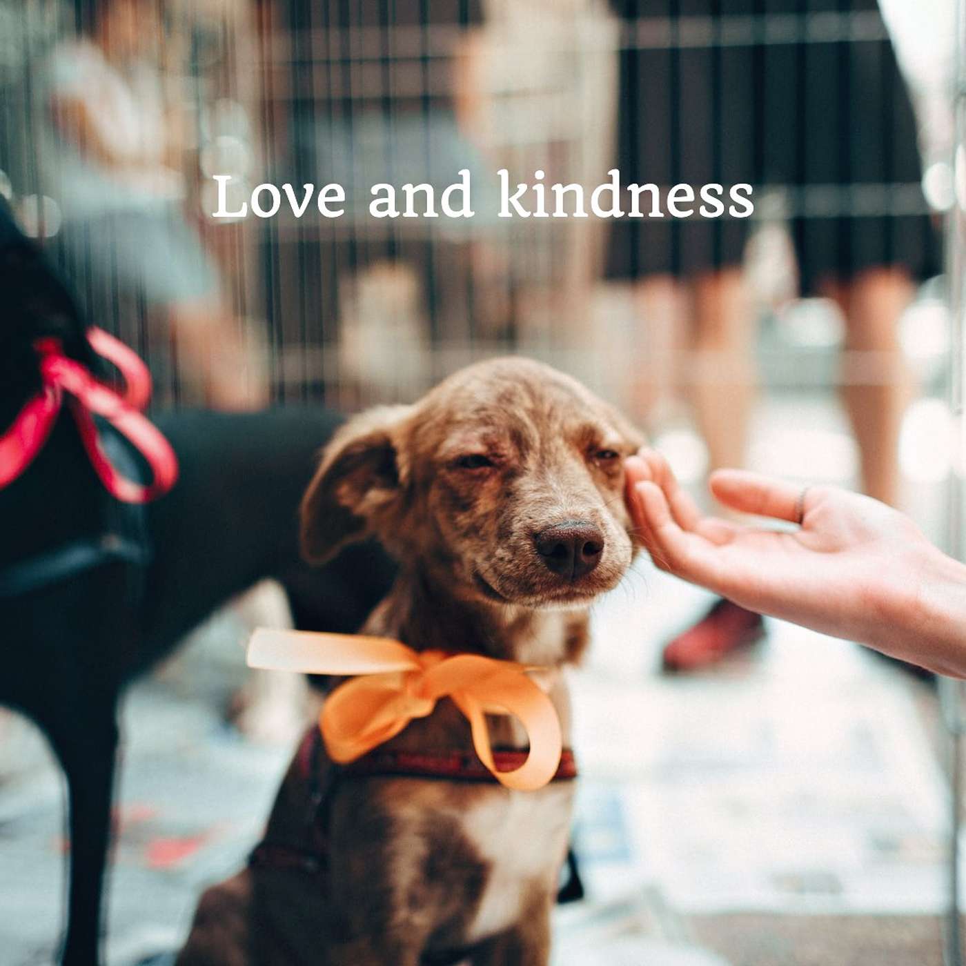 #118 Love and kindness episode artwork