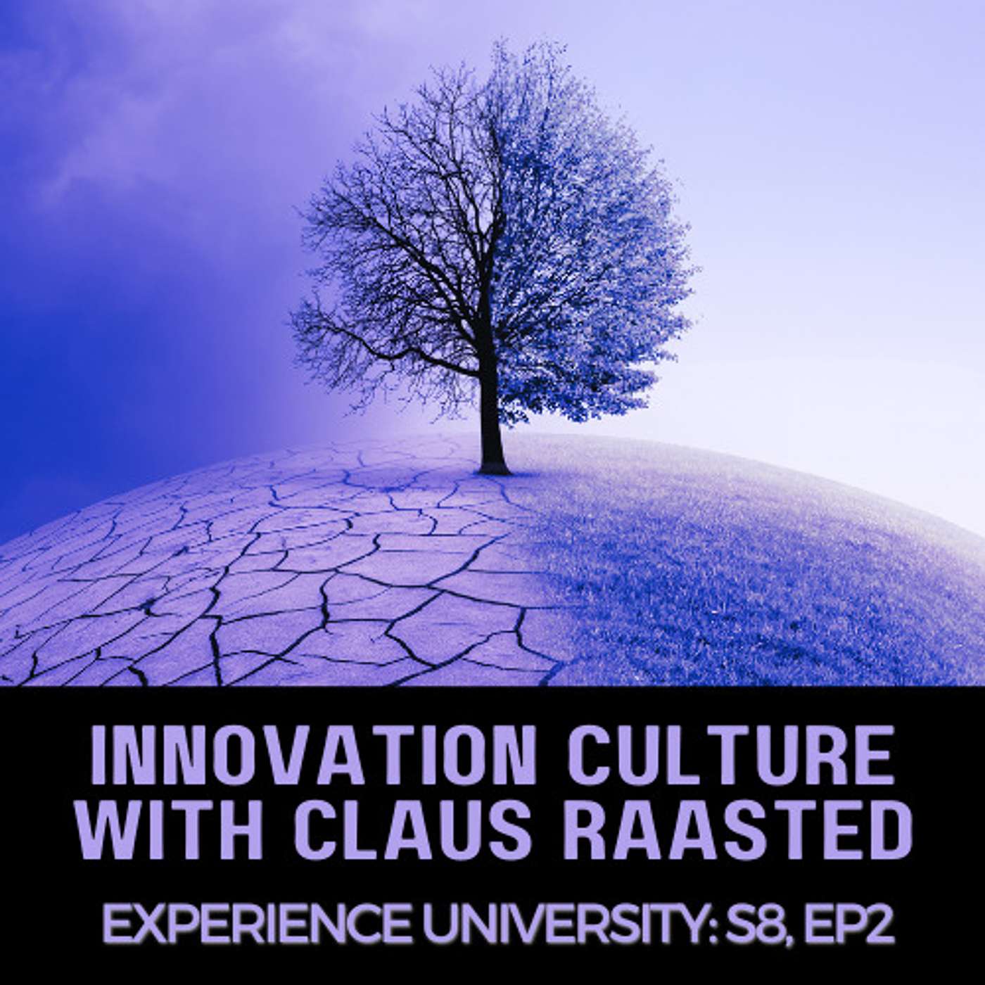 S8E2: Innovation Culture With Claus Raasted