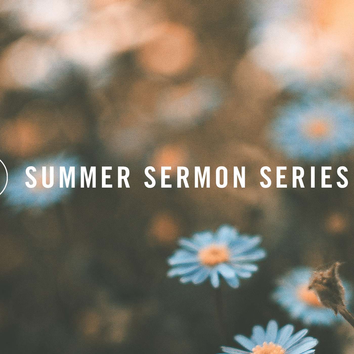 7/2/23 | Summer Sermon Series | Psalm 30: Will the Dust Praise You? episode artwork
